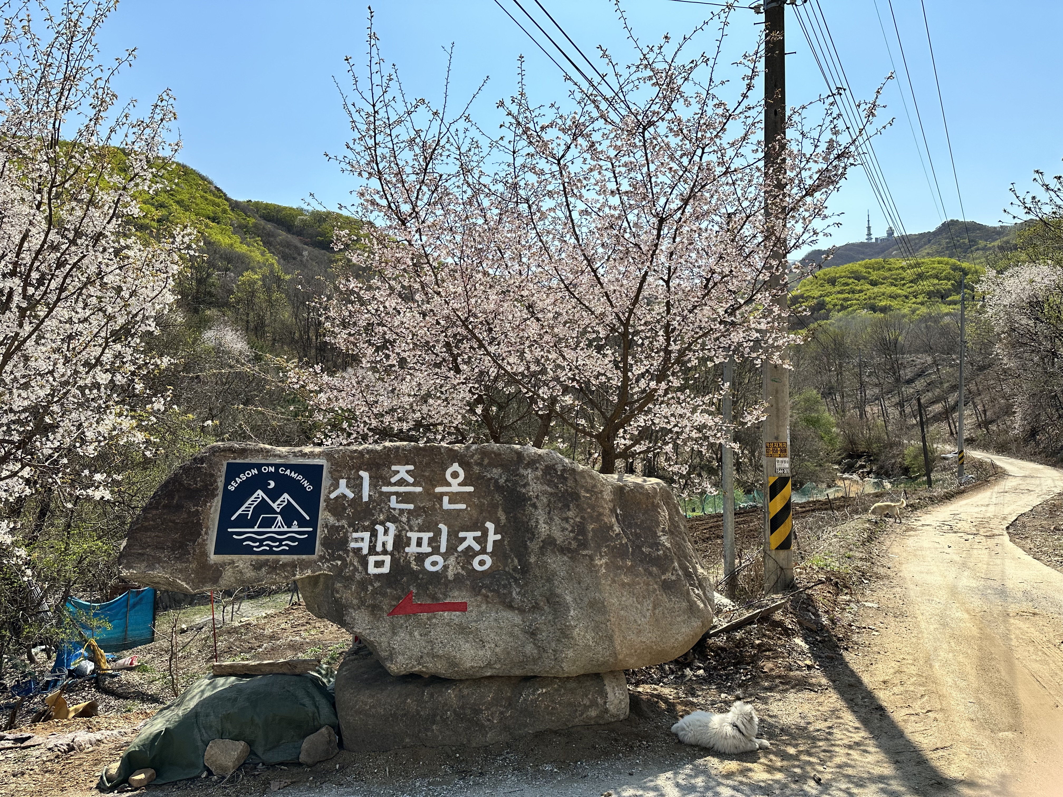 시즌온