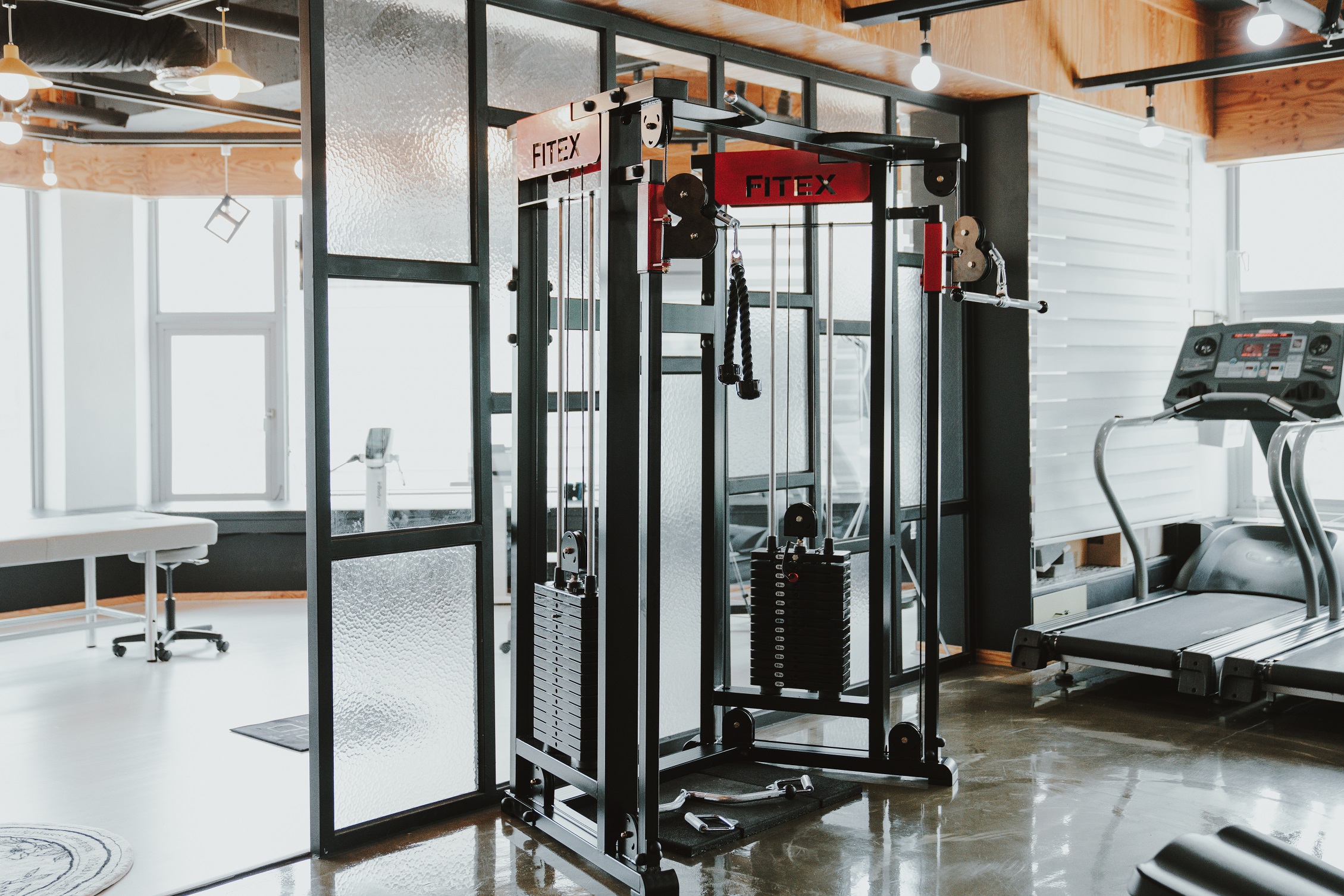 바디니즈 대표 이미지