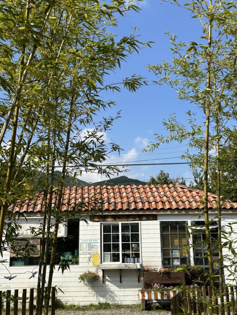 사진 4