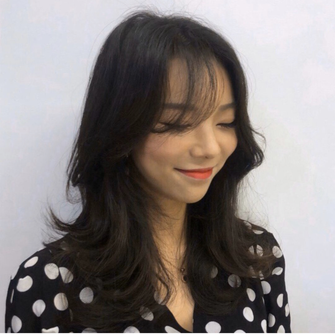 차니시움 대표 이미지