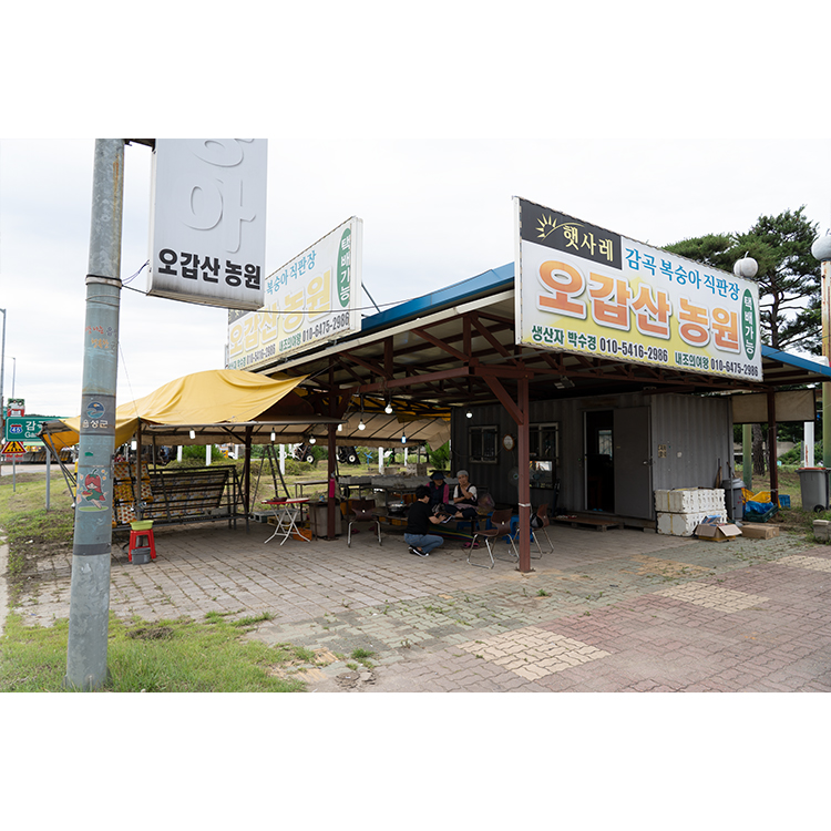 오갑산농원