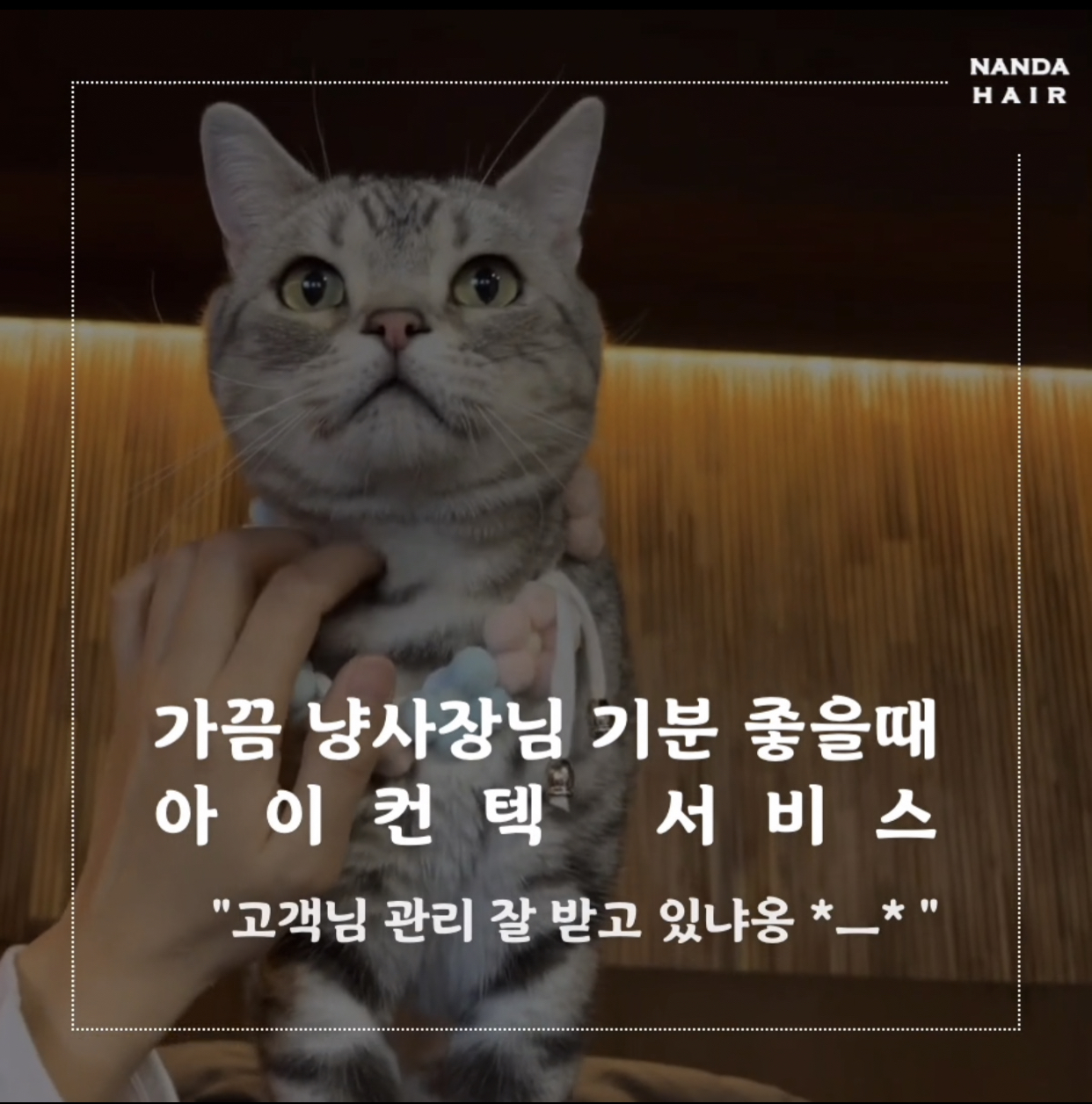 난다헤어 마포본점 대표 이미지