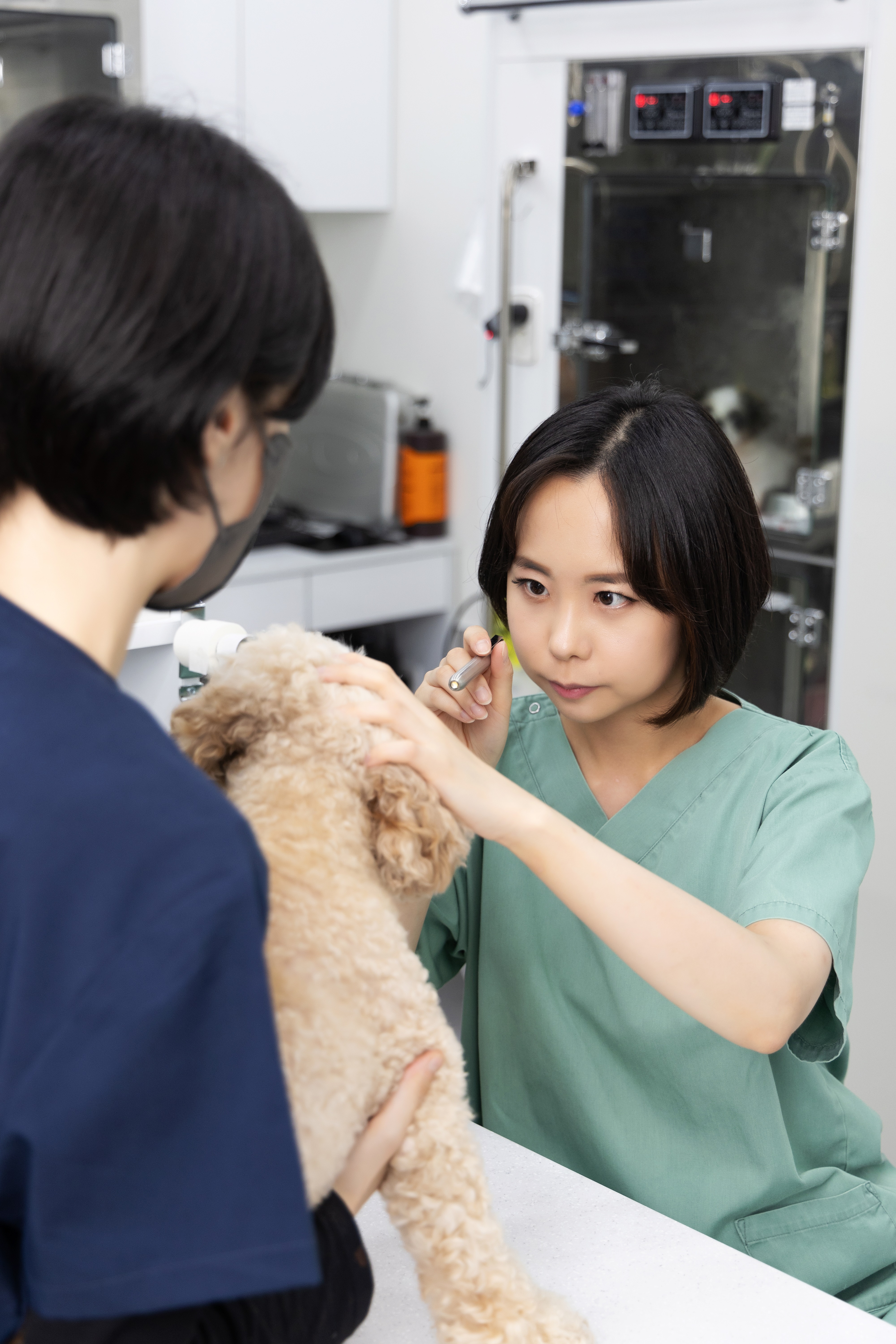 스마트동물병원 대표 이미지