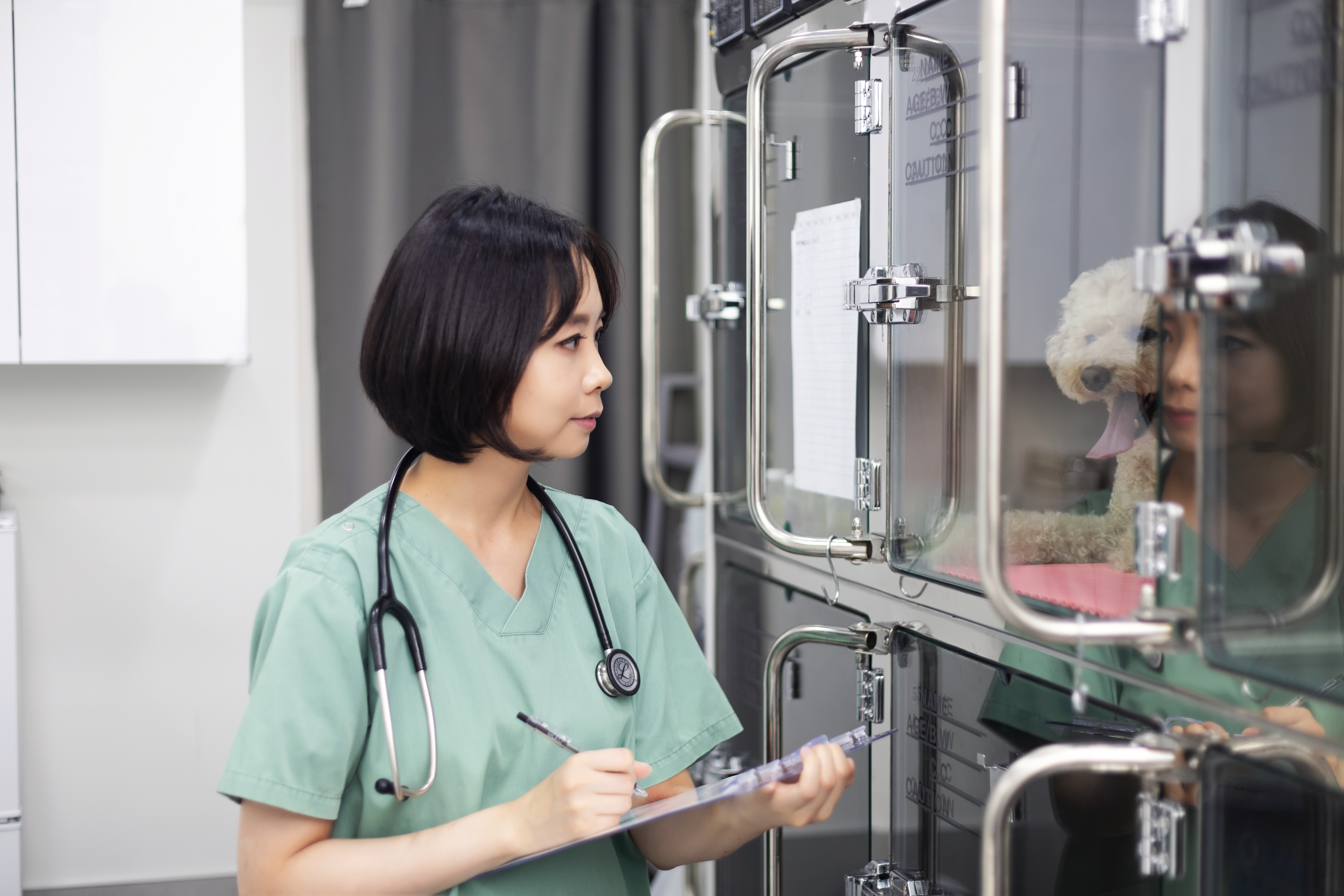 스마트동물병원 대표 이미지