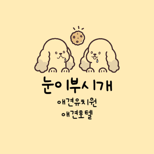 눈이부시개 애견유치원&호텔&카페