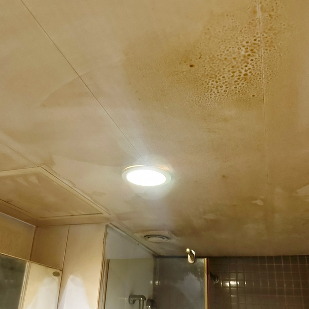 바른클린 대표 이미지