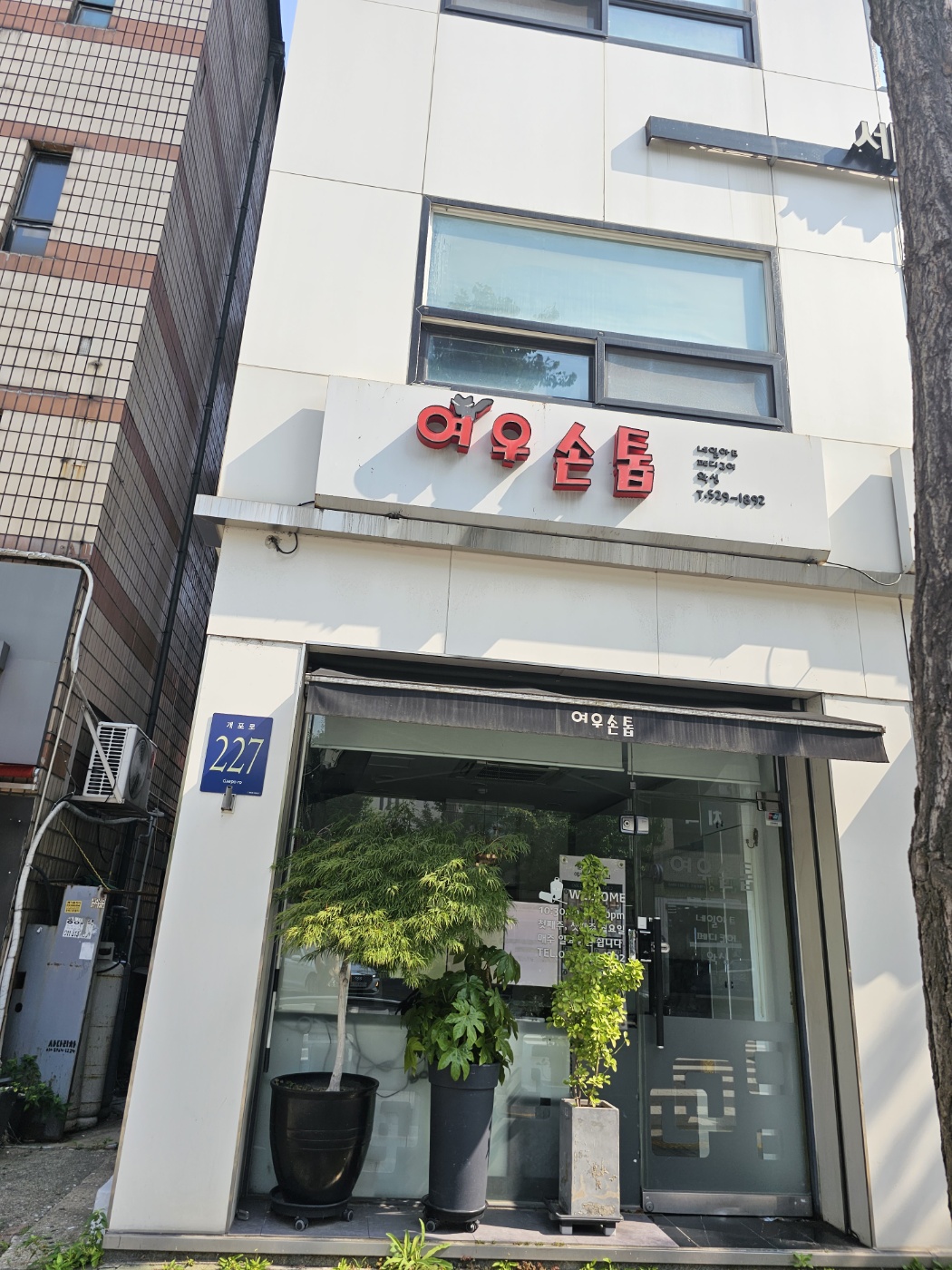 Yeousontop (여우손톱)