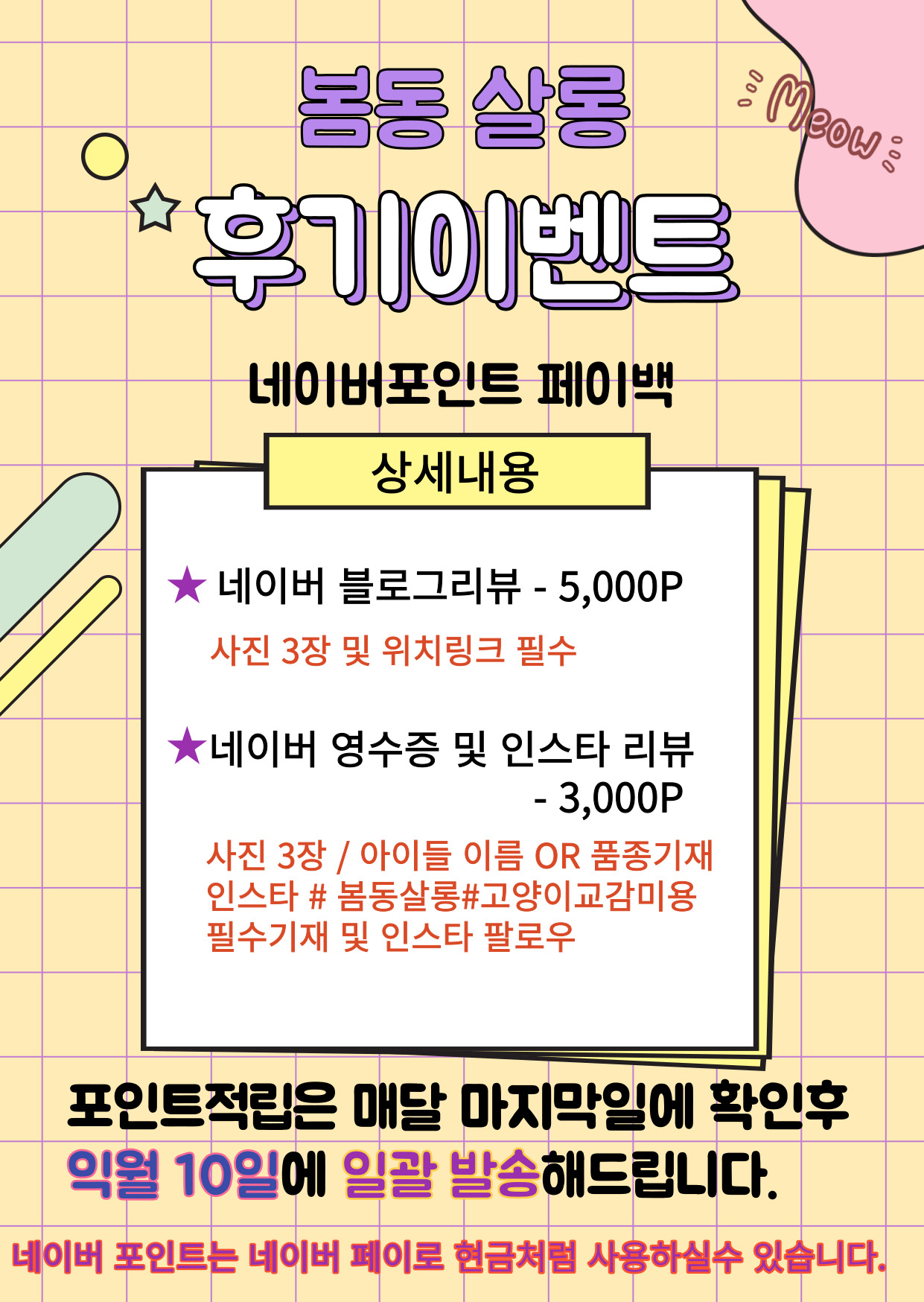 봄동살롱 고양이미용실 대표 이미지