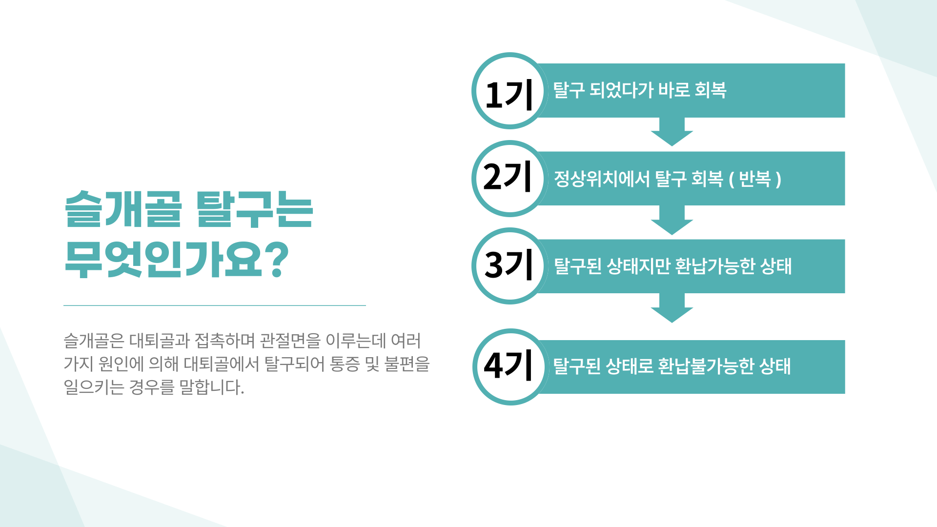 앙리 동물병원 대표 이미지