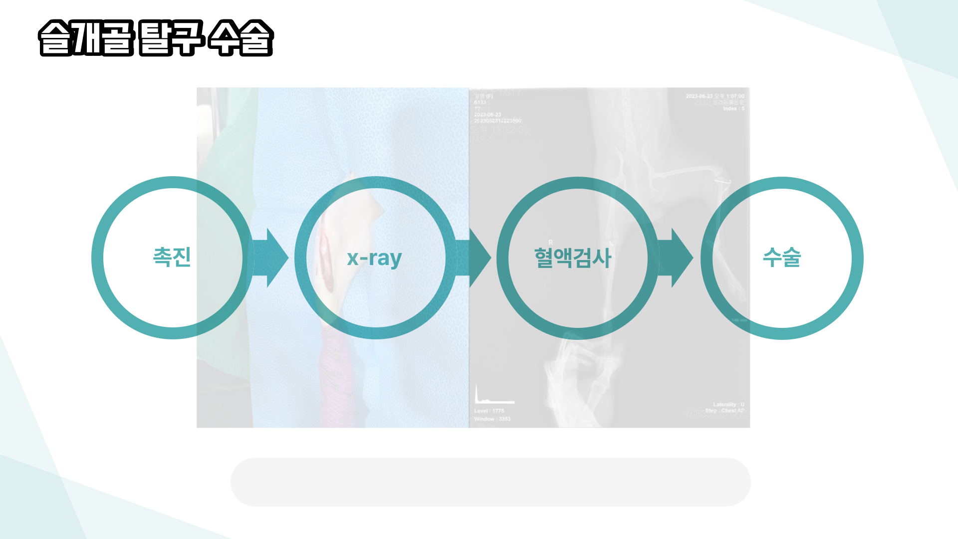 앙리 동물병원 대표 이미지