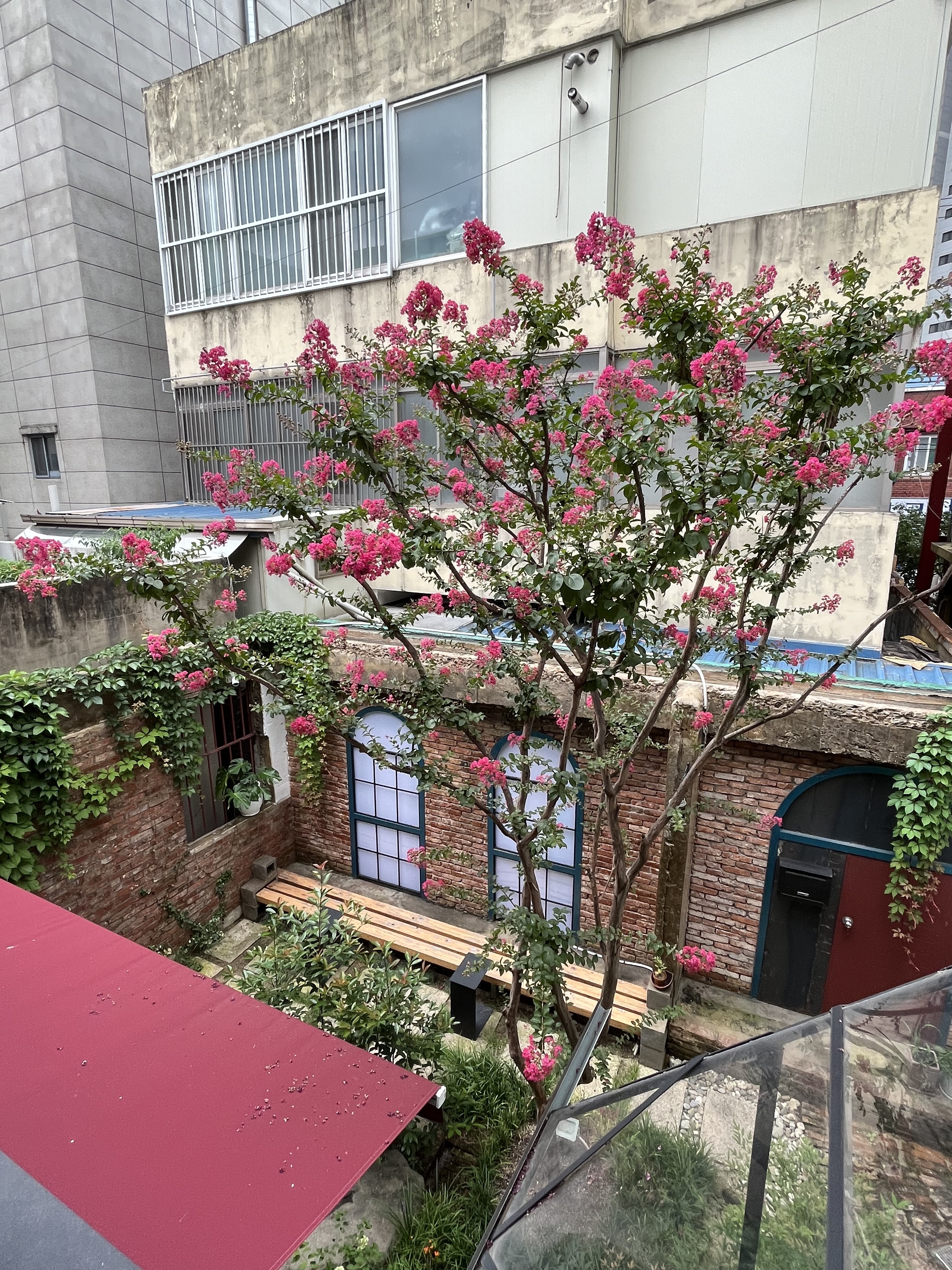 카페보네르