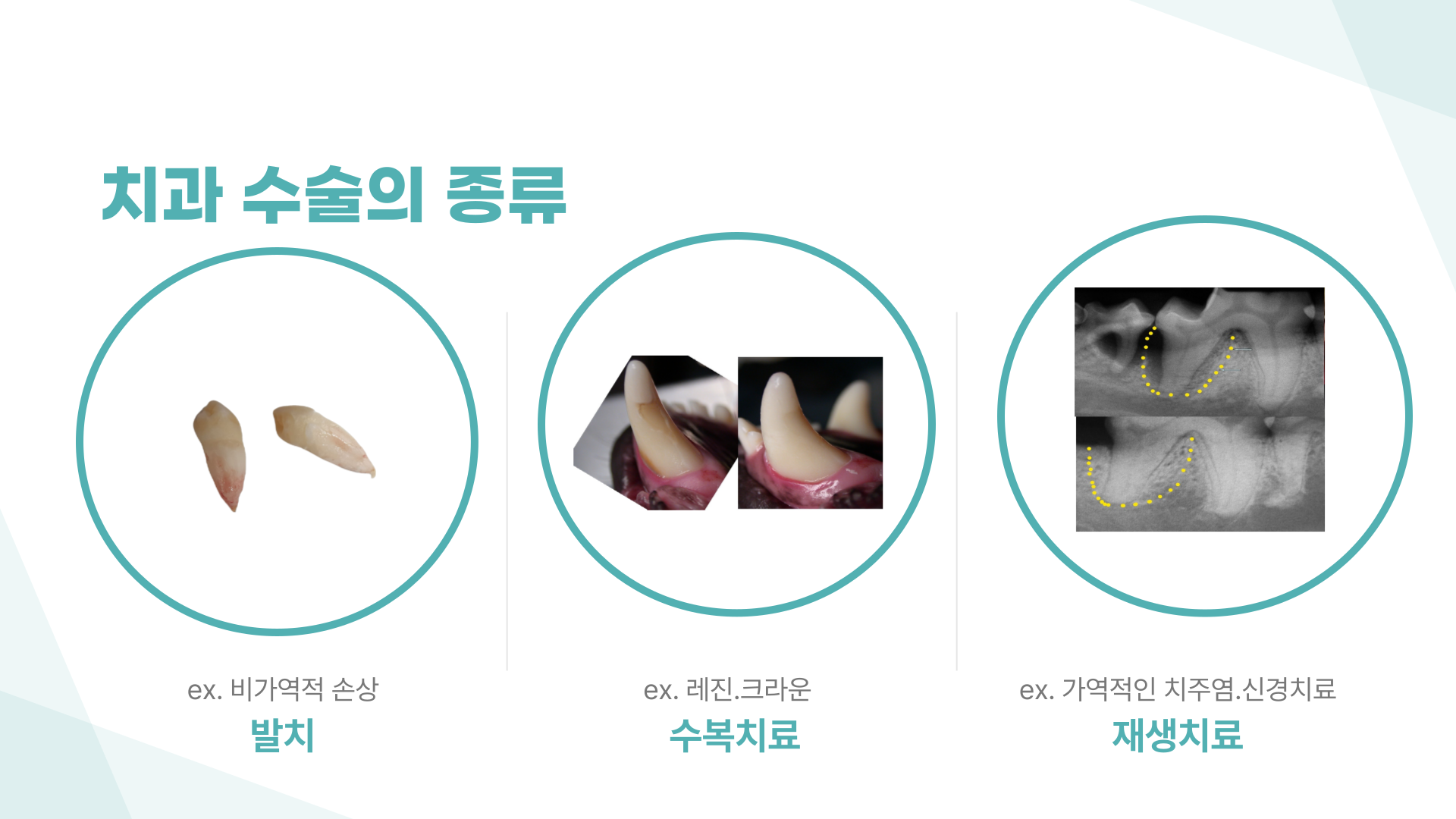 앙리 동물병원 대표 이미지