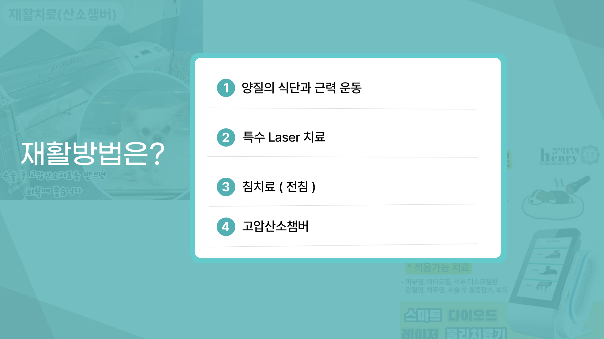 앙리 동물병원 대표 이미지