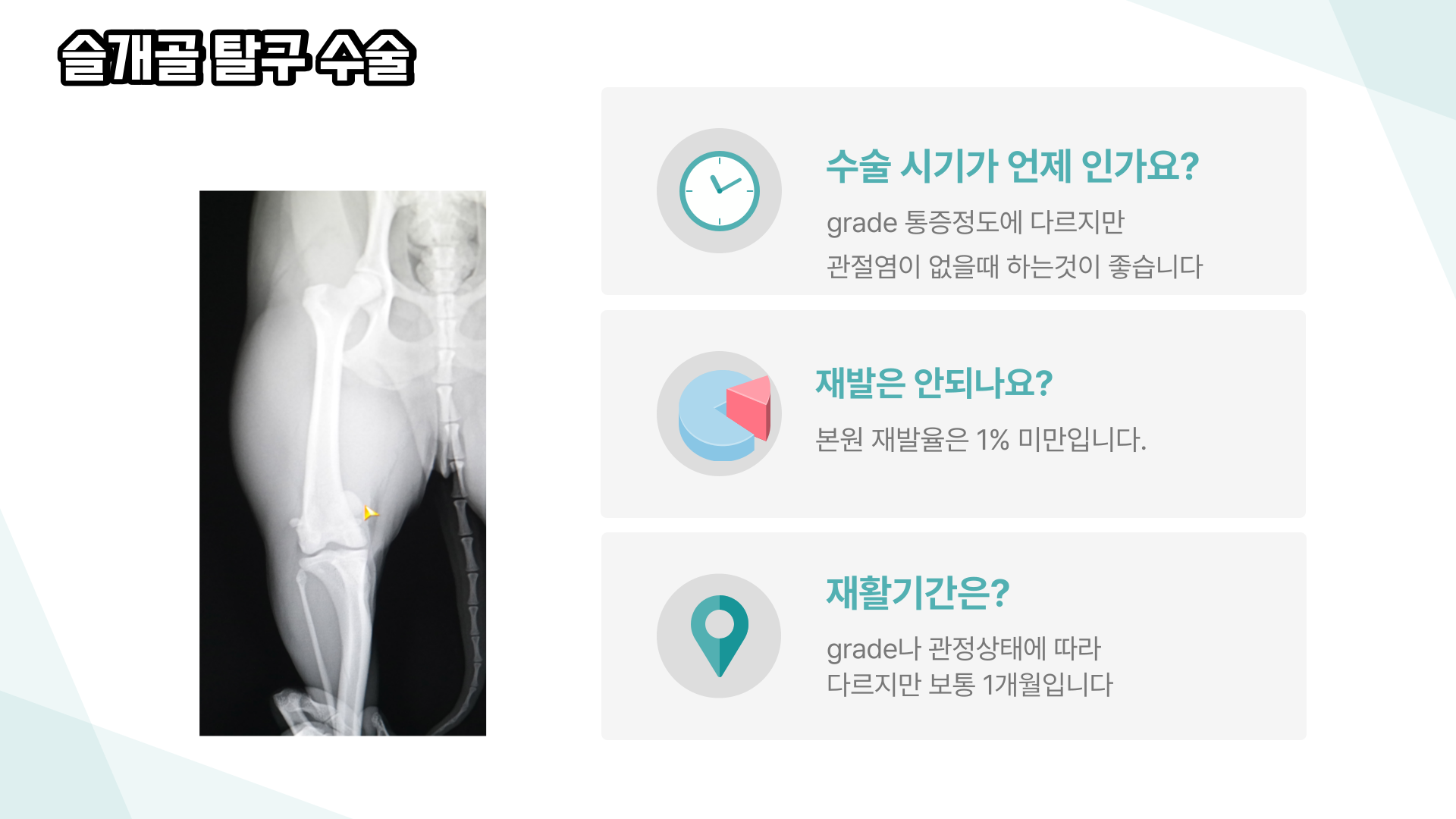 앙리 동물병원 대표 이미지