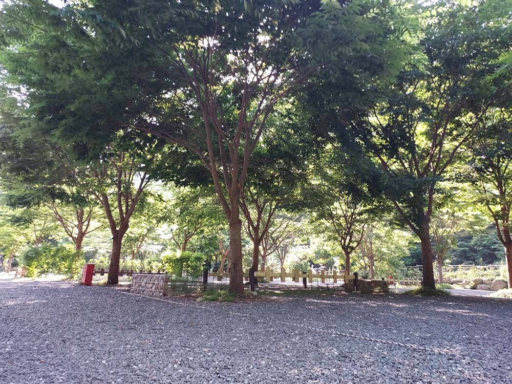 횡성산울림오토캠핑장