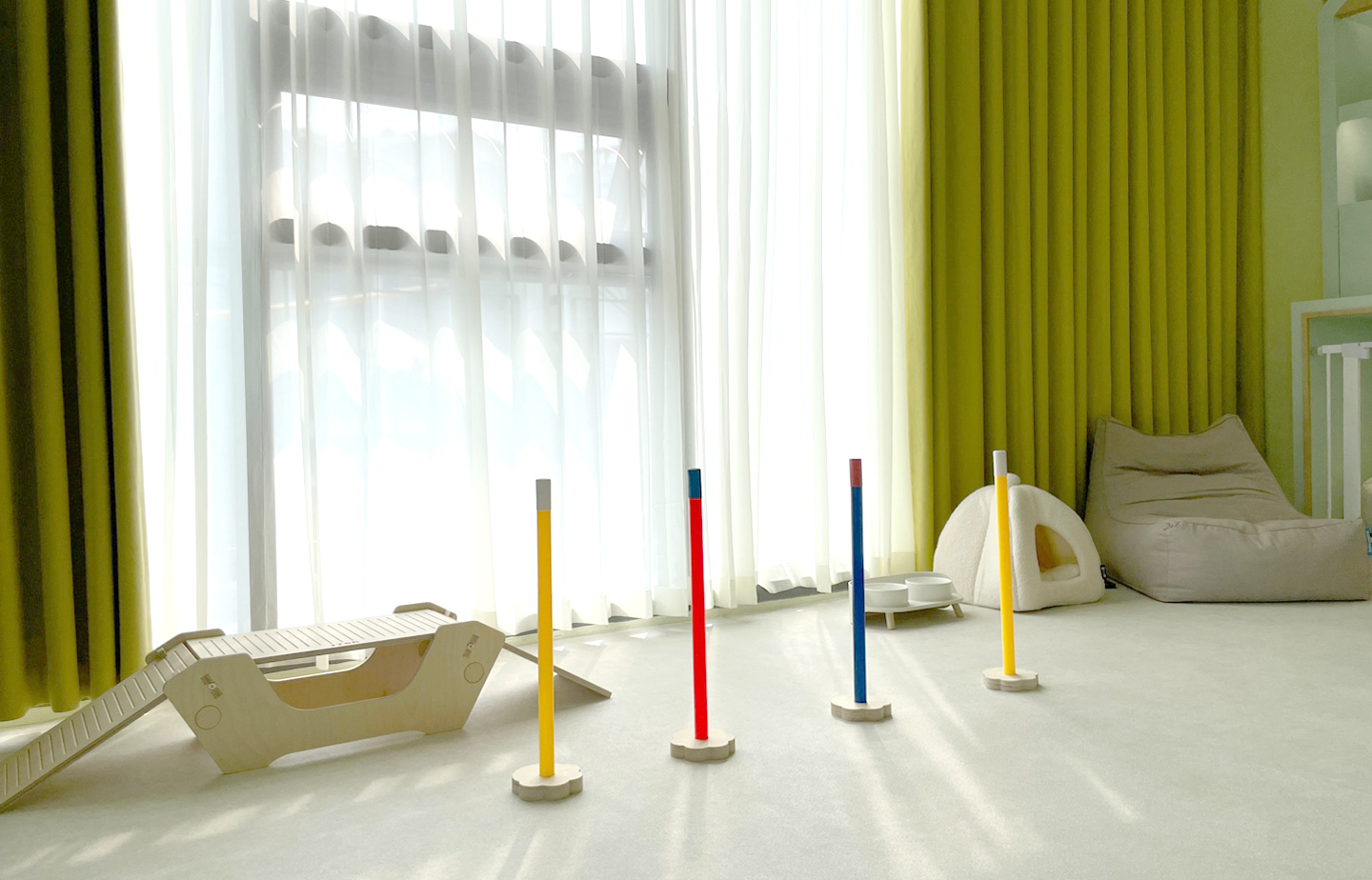 숲길 강아지 대표 이미지