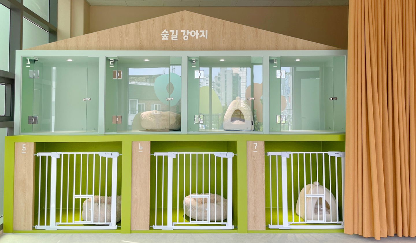 숲길 강아지 대표 이미지