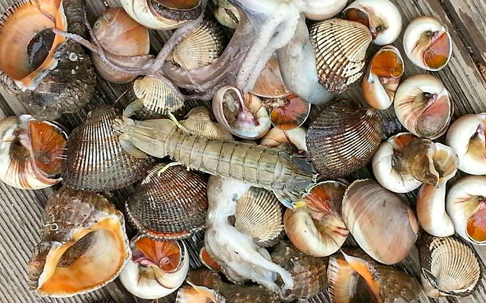 두멍부리펜션