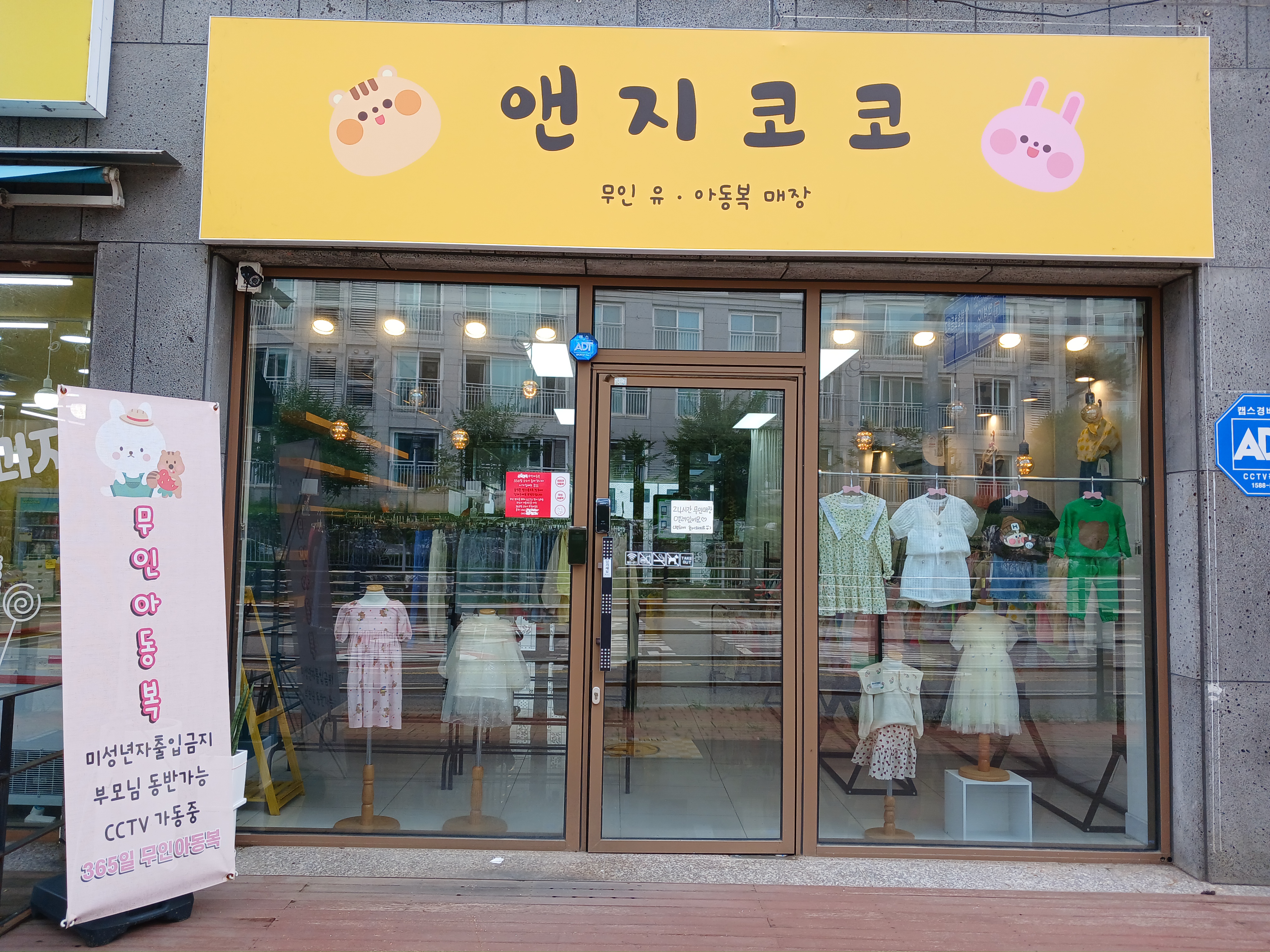 앤지코코