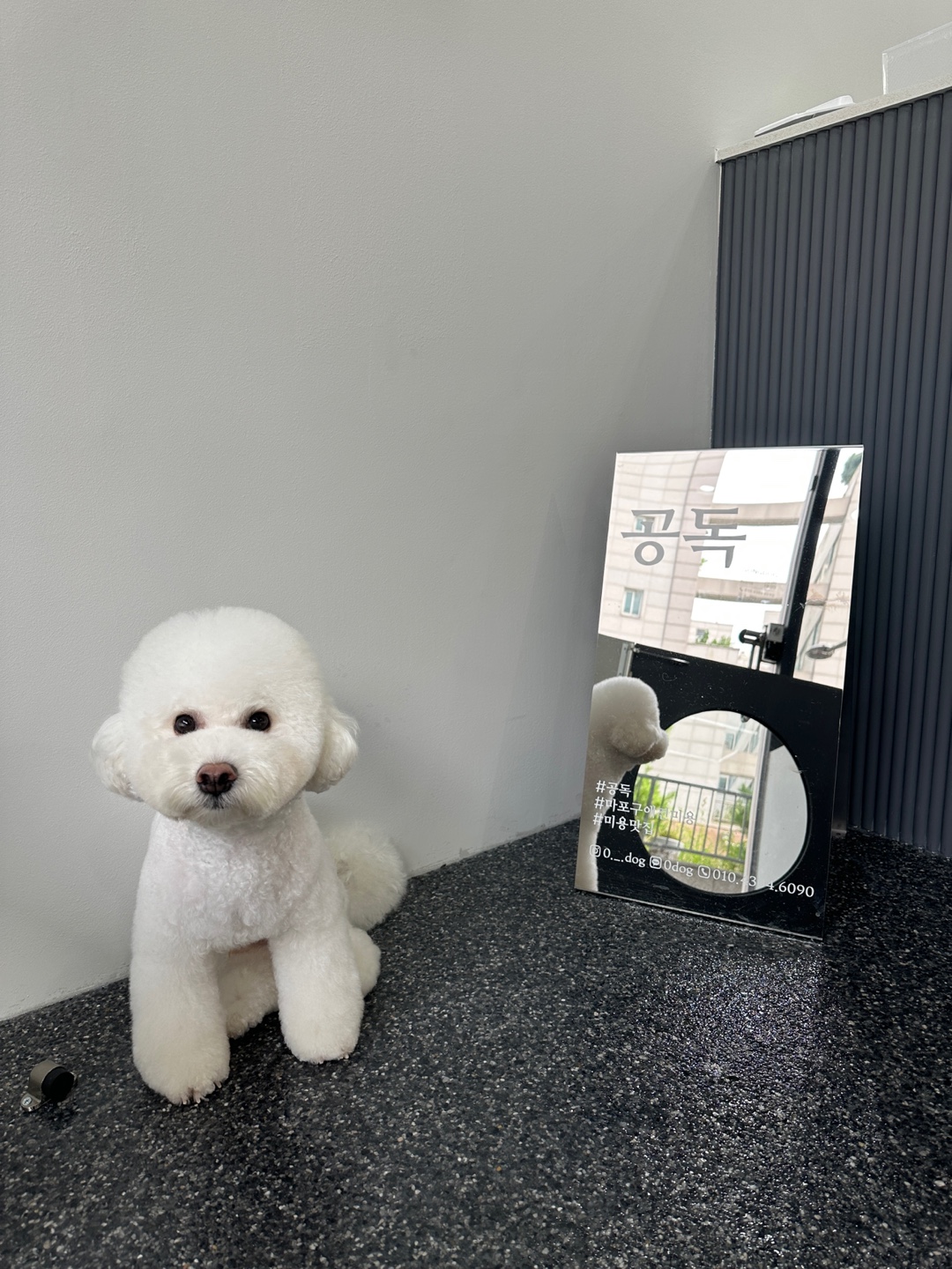 공독 대표 이미지