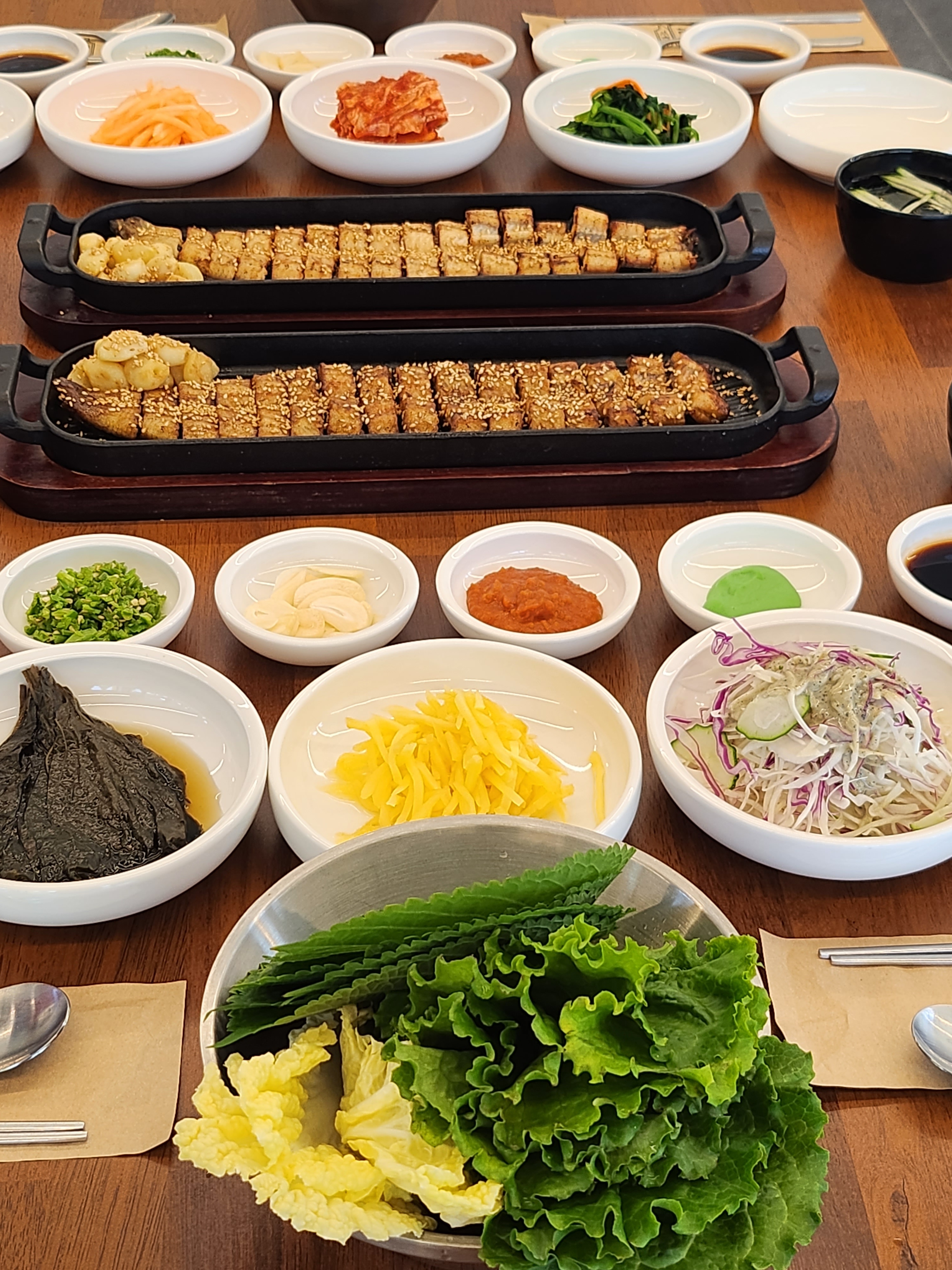 해강장어 설명사진