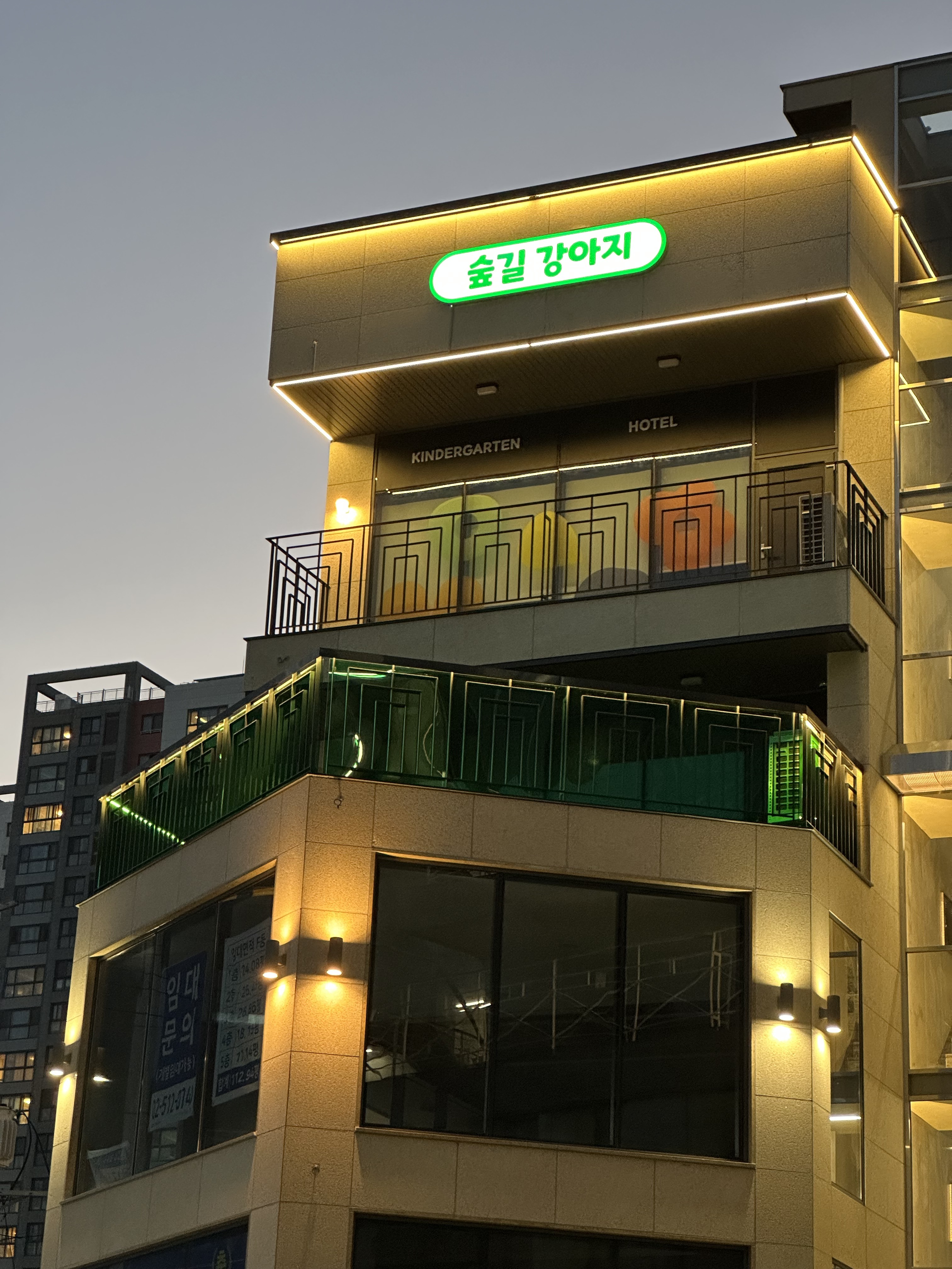 숲길 강아지 대표 이미지