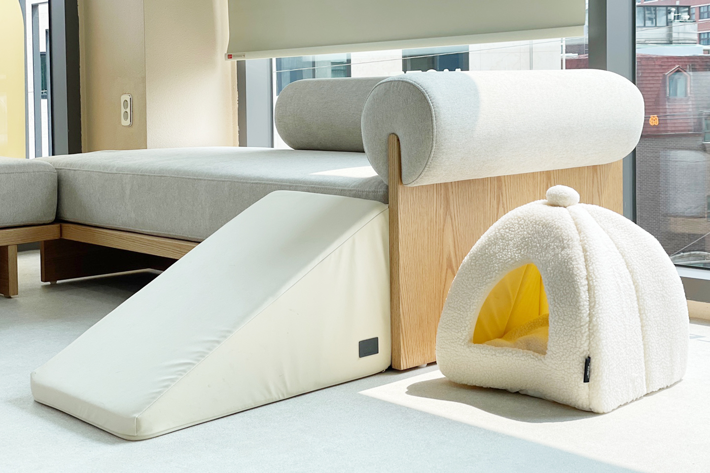 숲길 강아지 대표 이미지