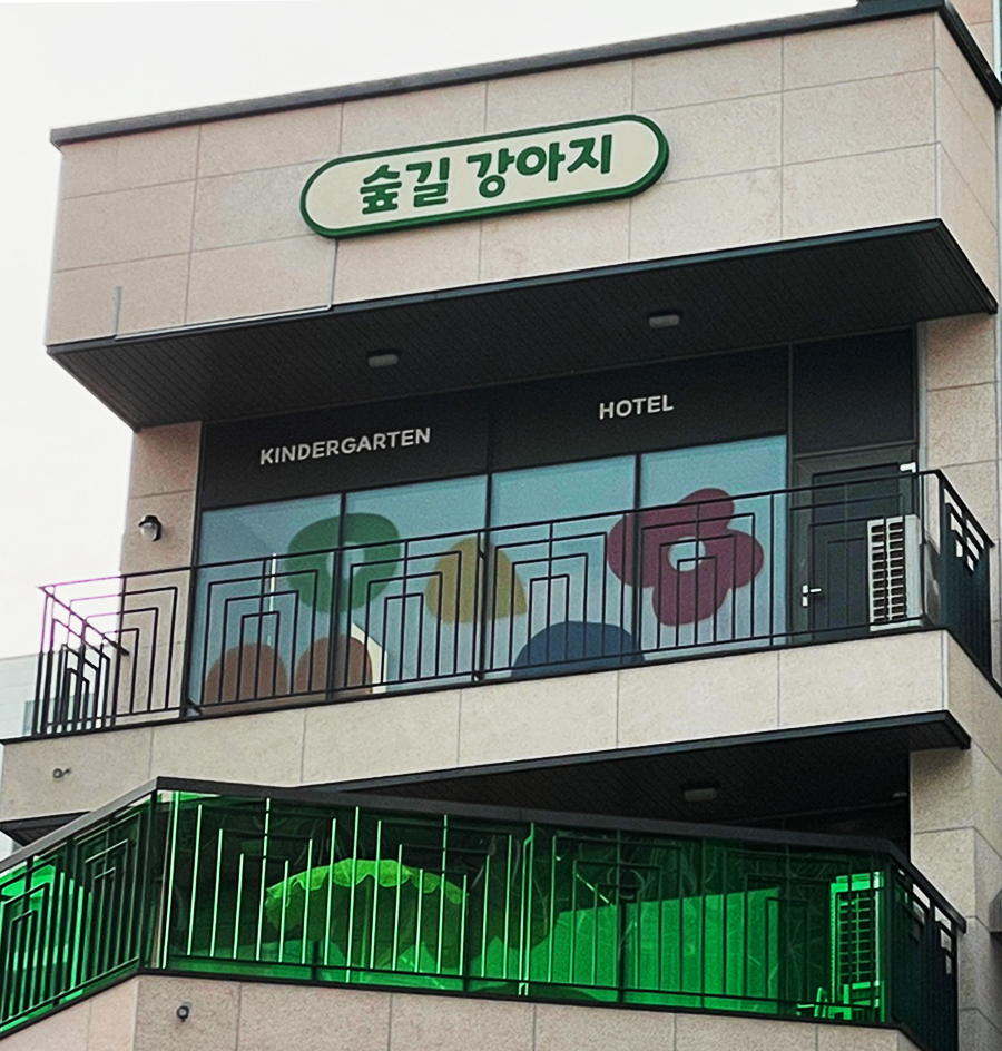 숲길 강아지 대표 이미지