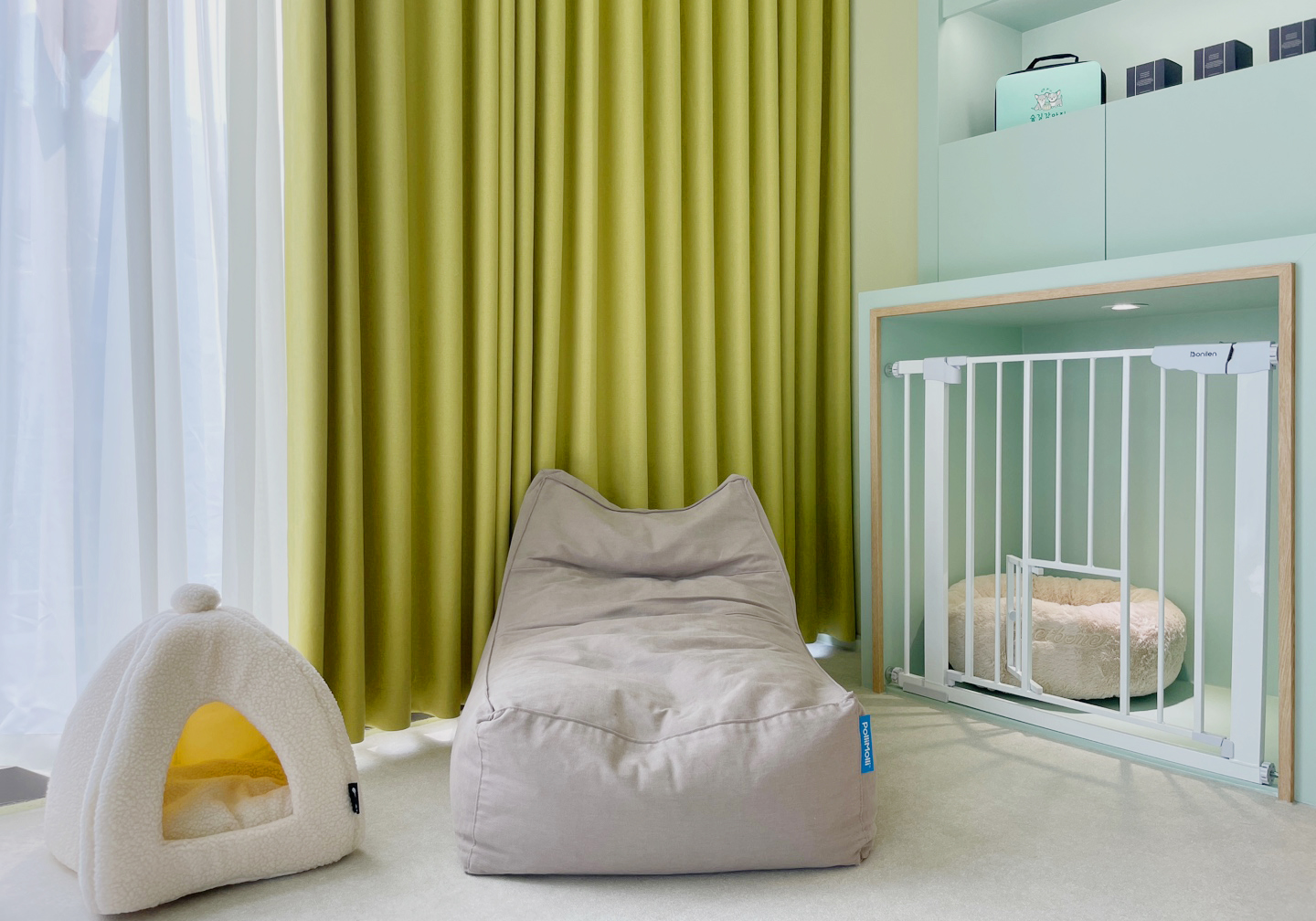 숲길 강아지 대표 이미지