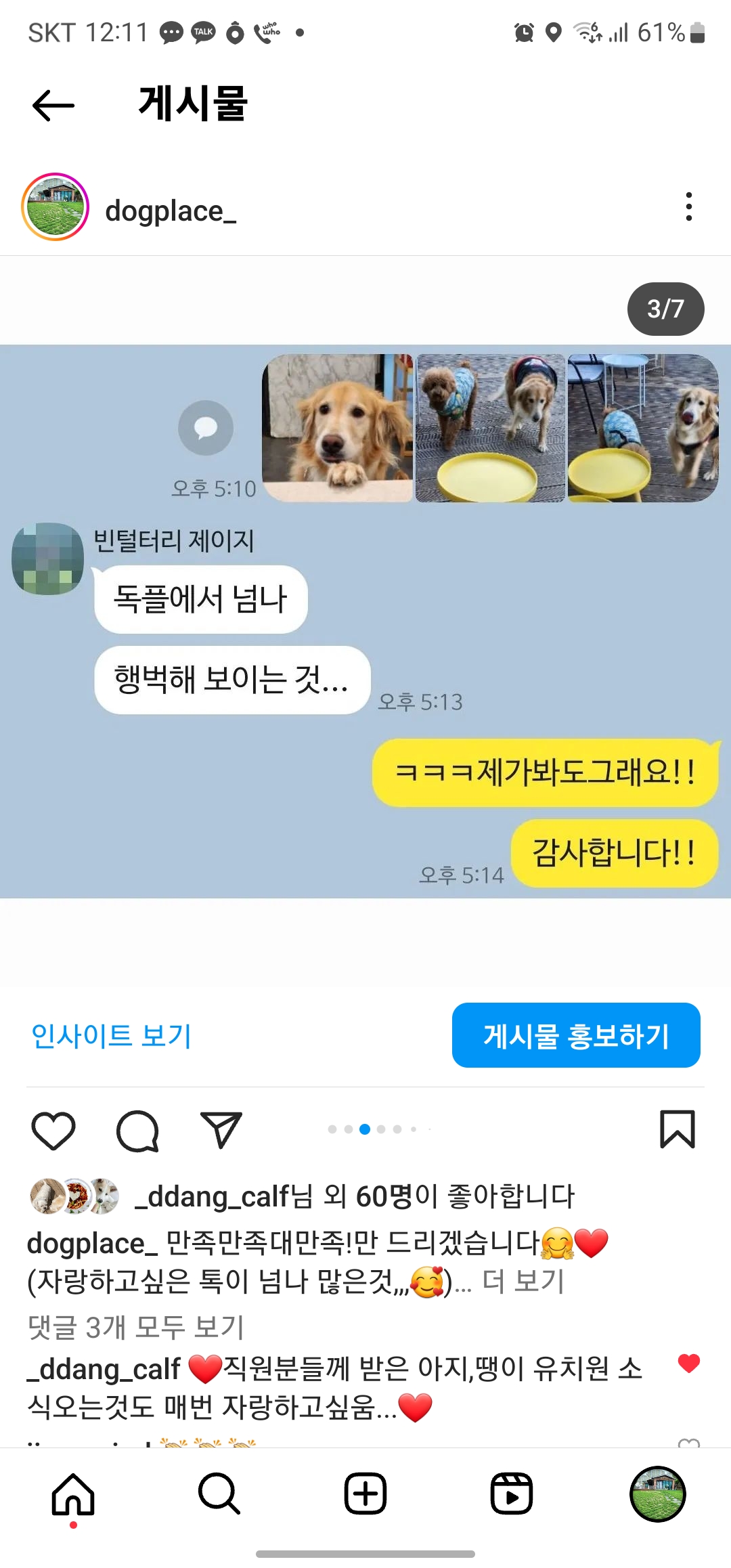 도그플레이스 대표 이미지