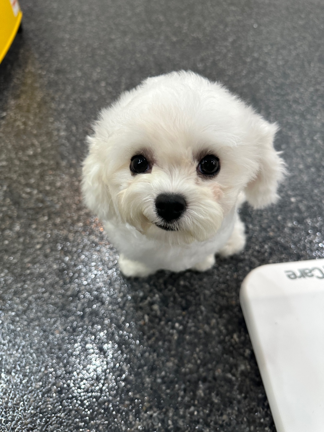 공독 대표 이미지