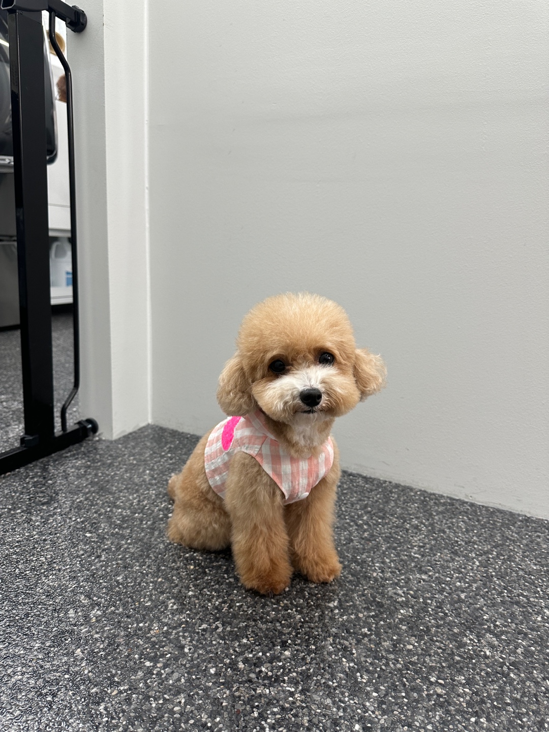 공독 대표 이미지