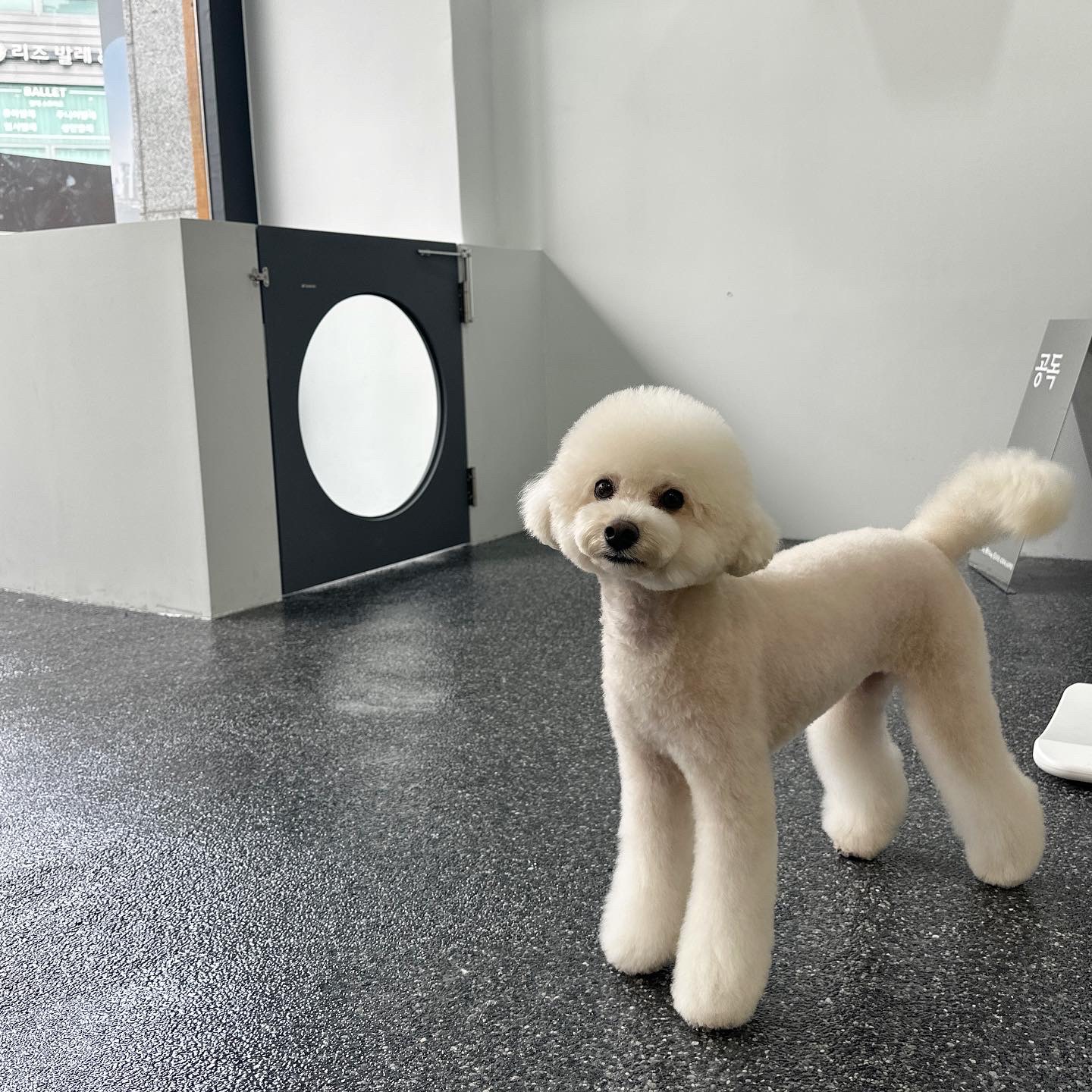 공독 대표 이미지