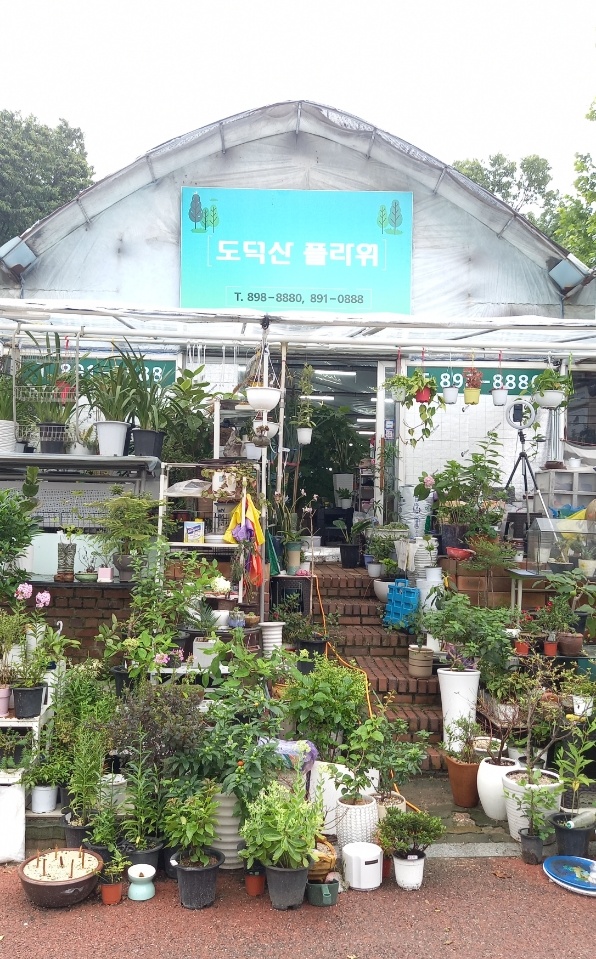 도덕산플라워