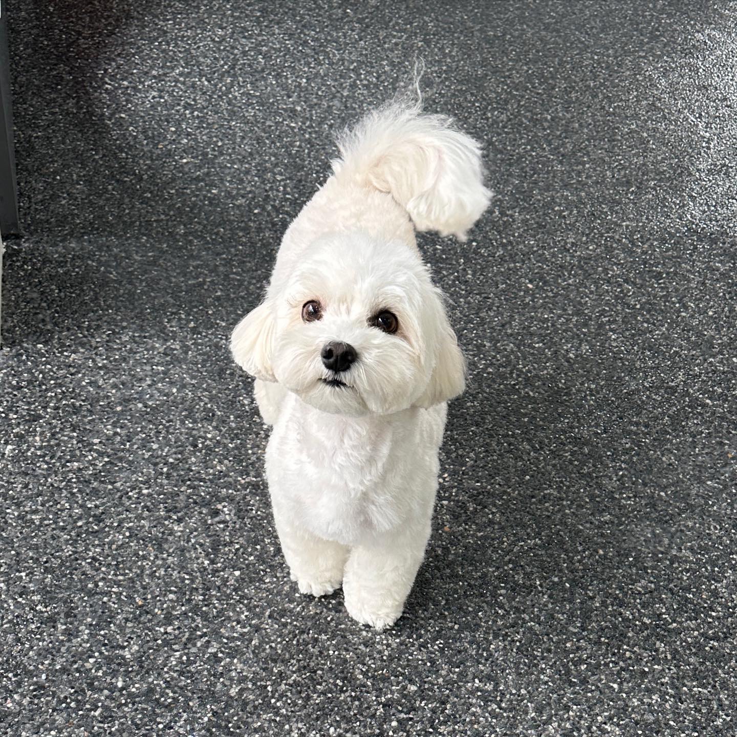공독 대표 이미지