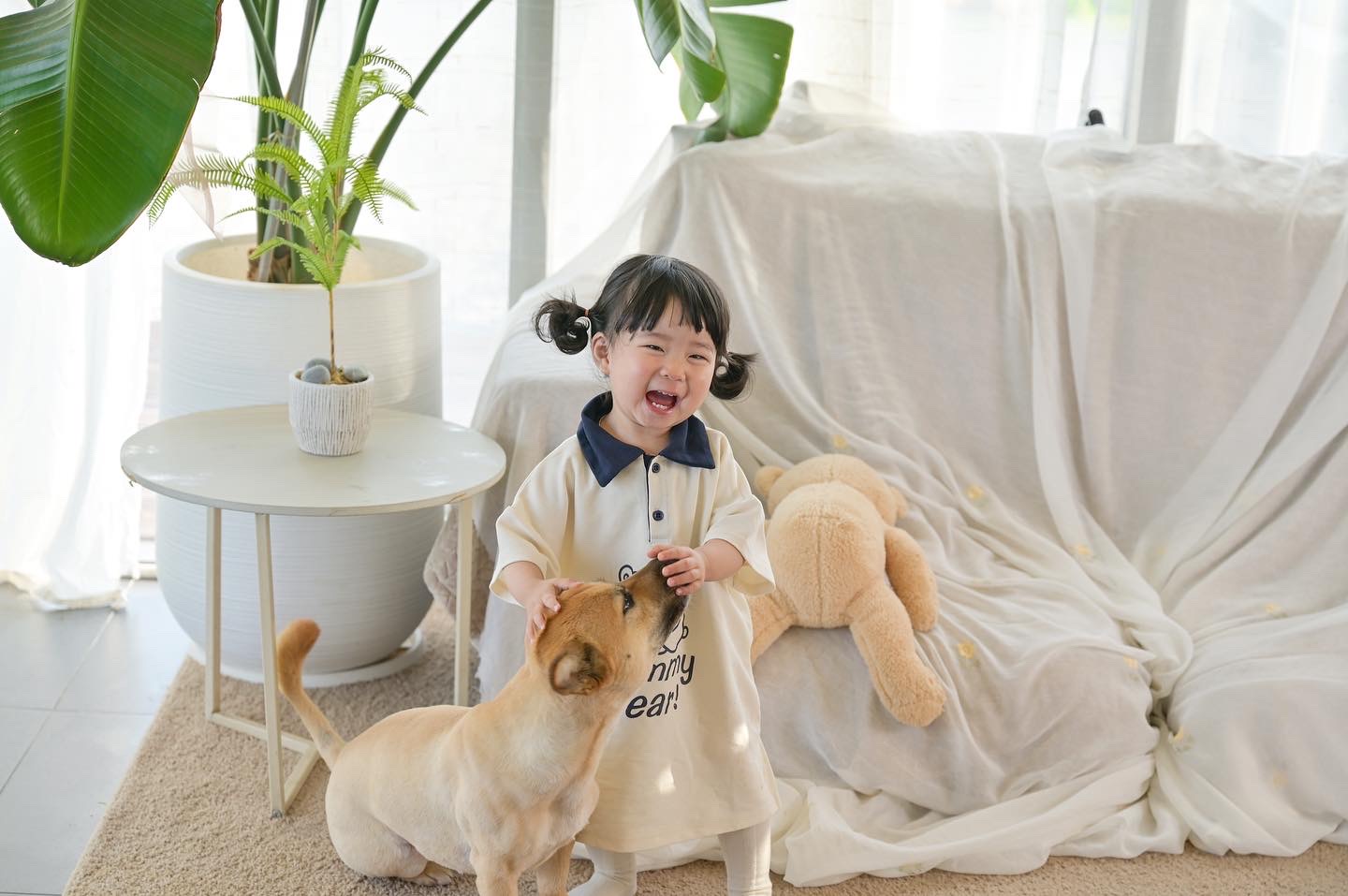 곰슬스튜디오