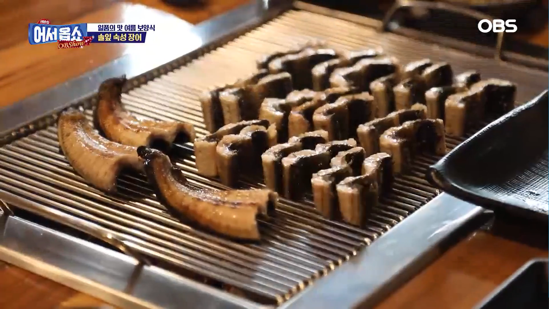 솔잎장어