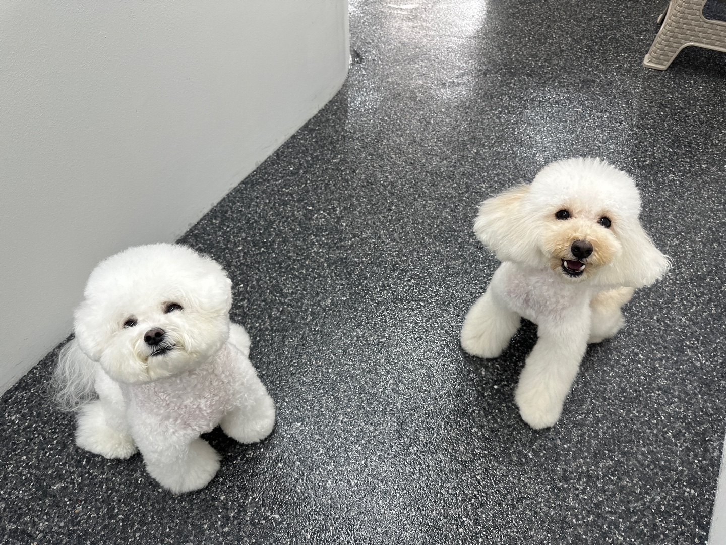 공독 대표 이미지