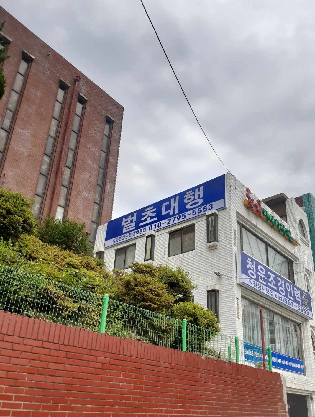 벌초대행