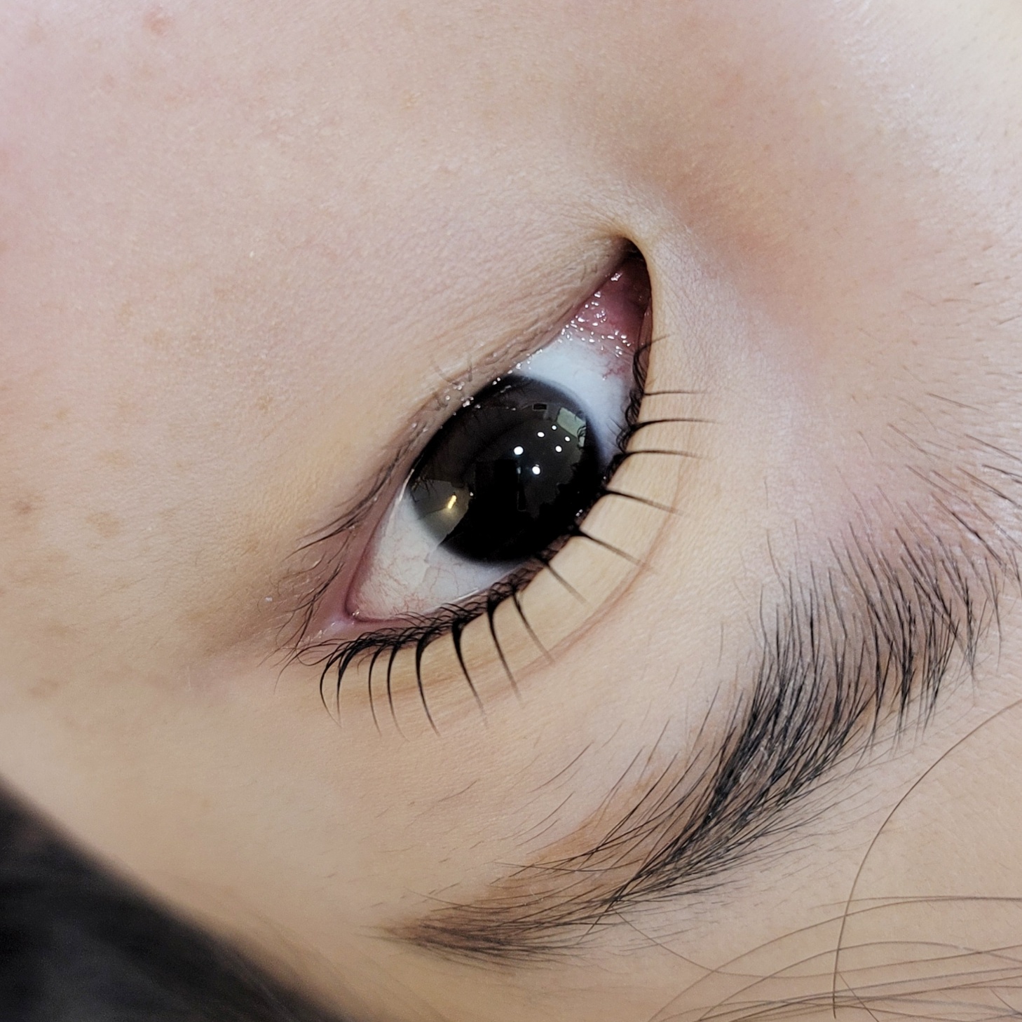 바비컬 대표 이미지