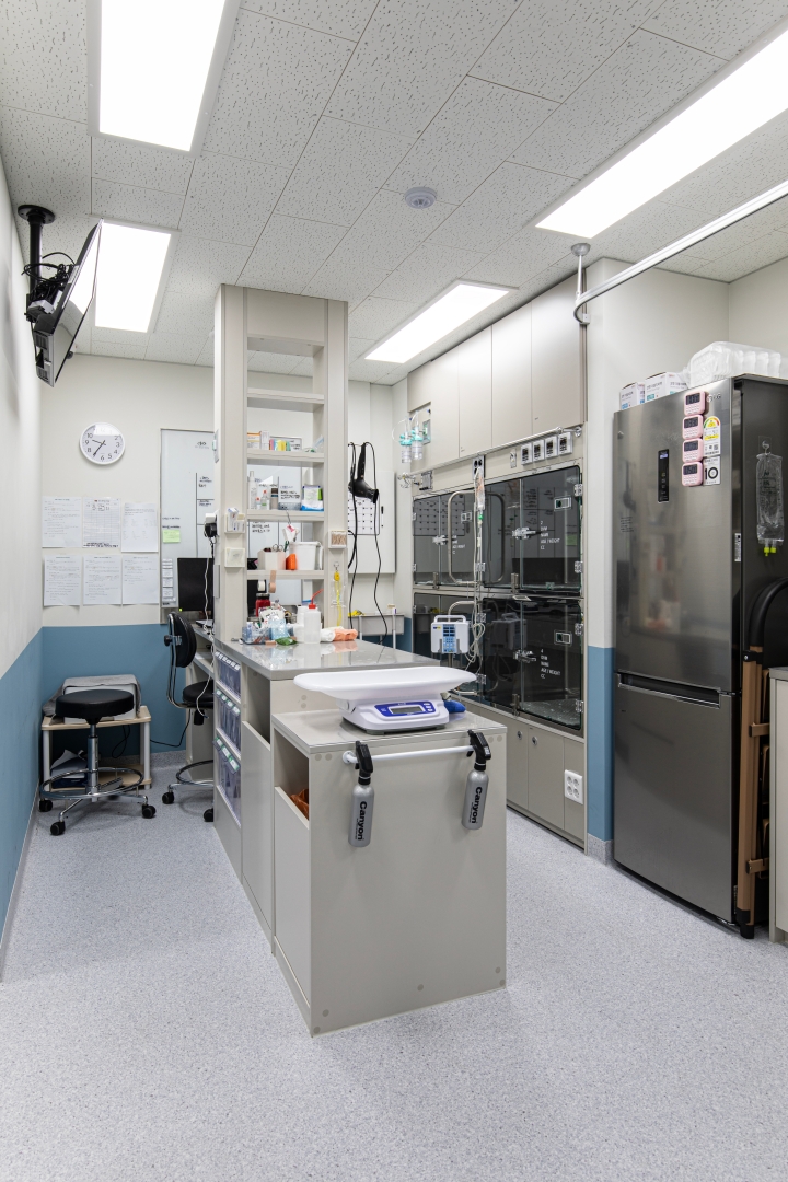 샤인아이안과동물병원 대표 이미지