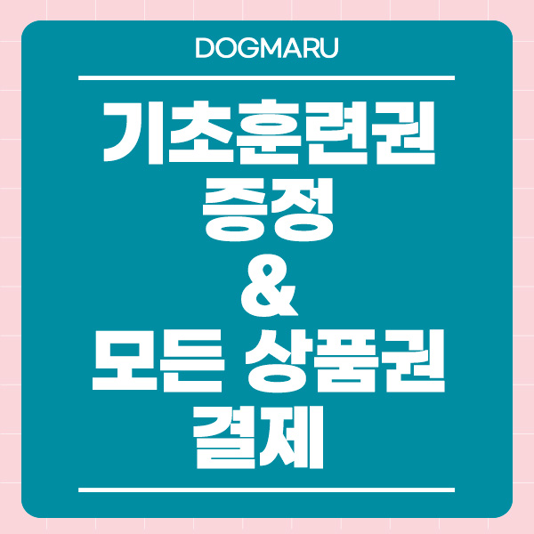 도그마루 강아지고양이 안양점