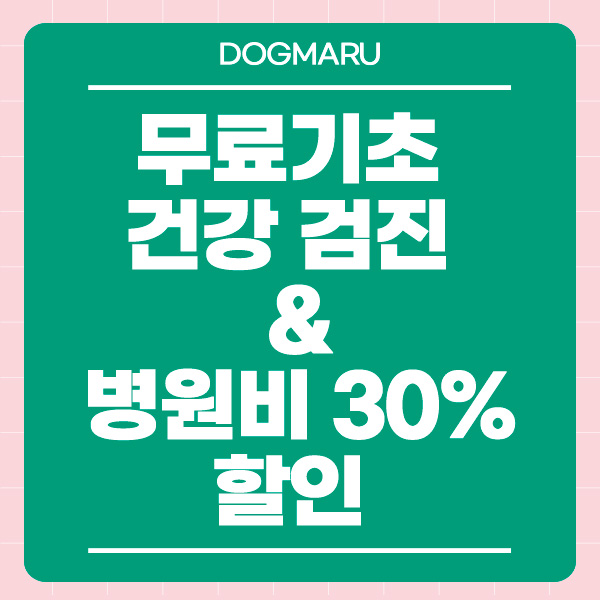 도그마루 강아지고양이 구미대구본점