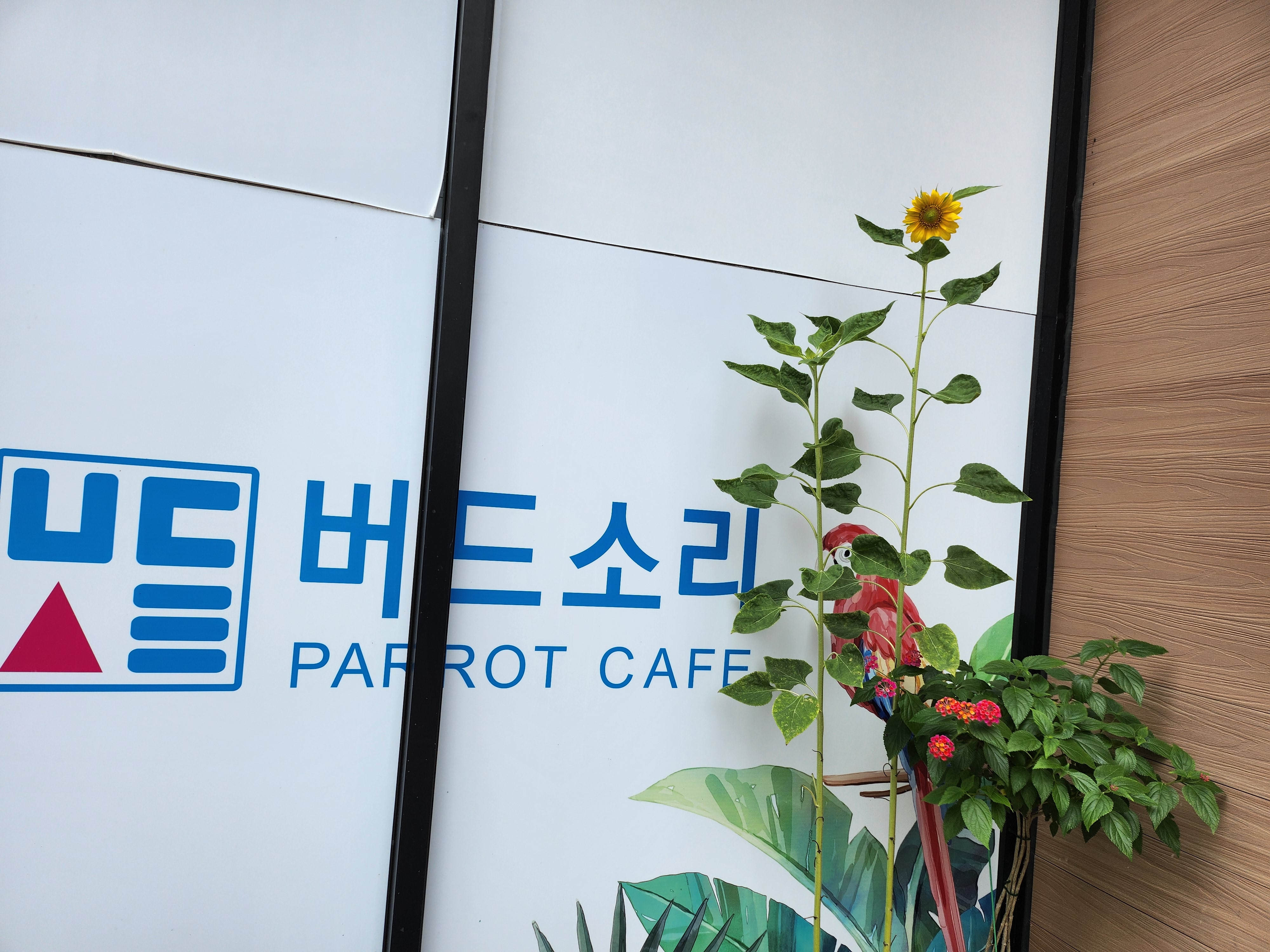 버드소리 앵무새카페 장유점