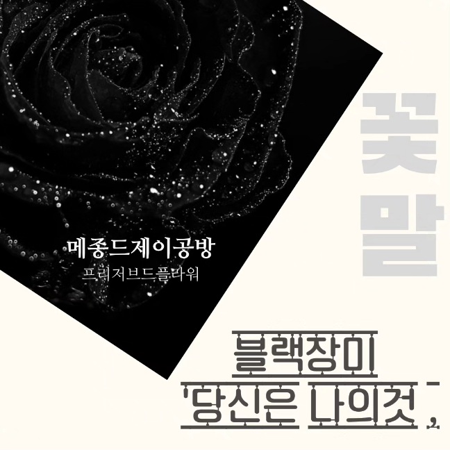메종드제이공방