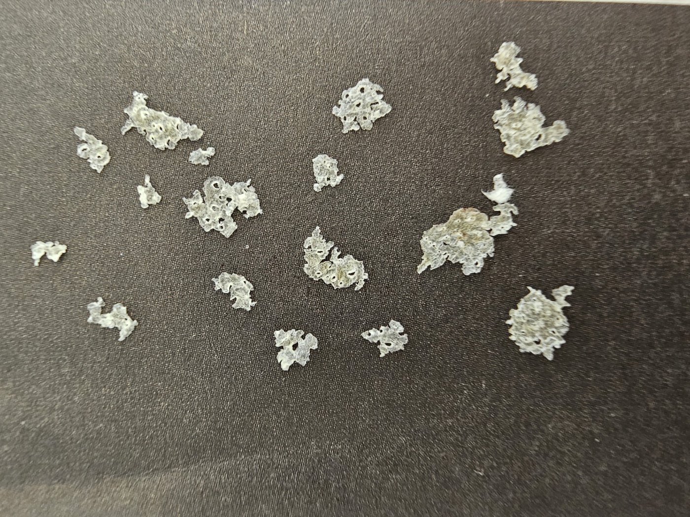 감탄헤드스파두피클리닉 대표 이미지