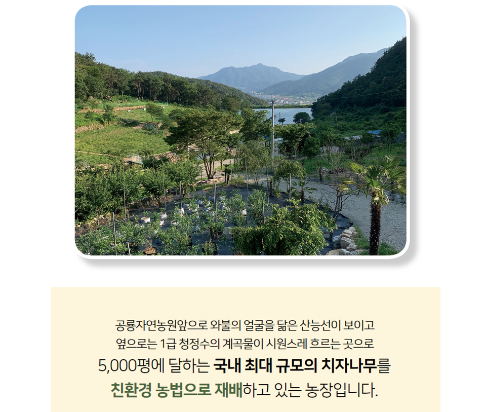 공룡자연농원