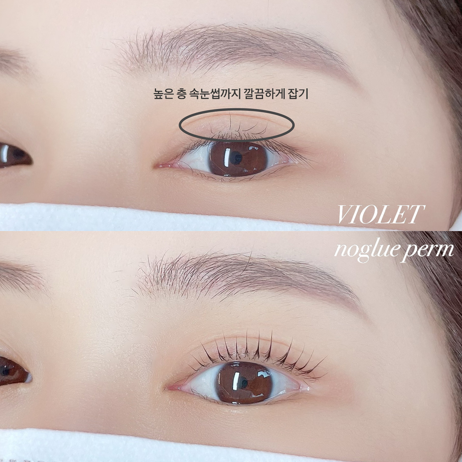 상봉 바이올렛뷰티 대표 이미지
