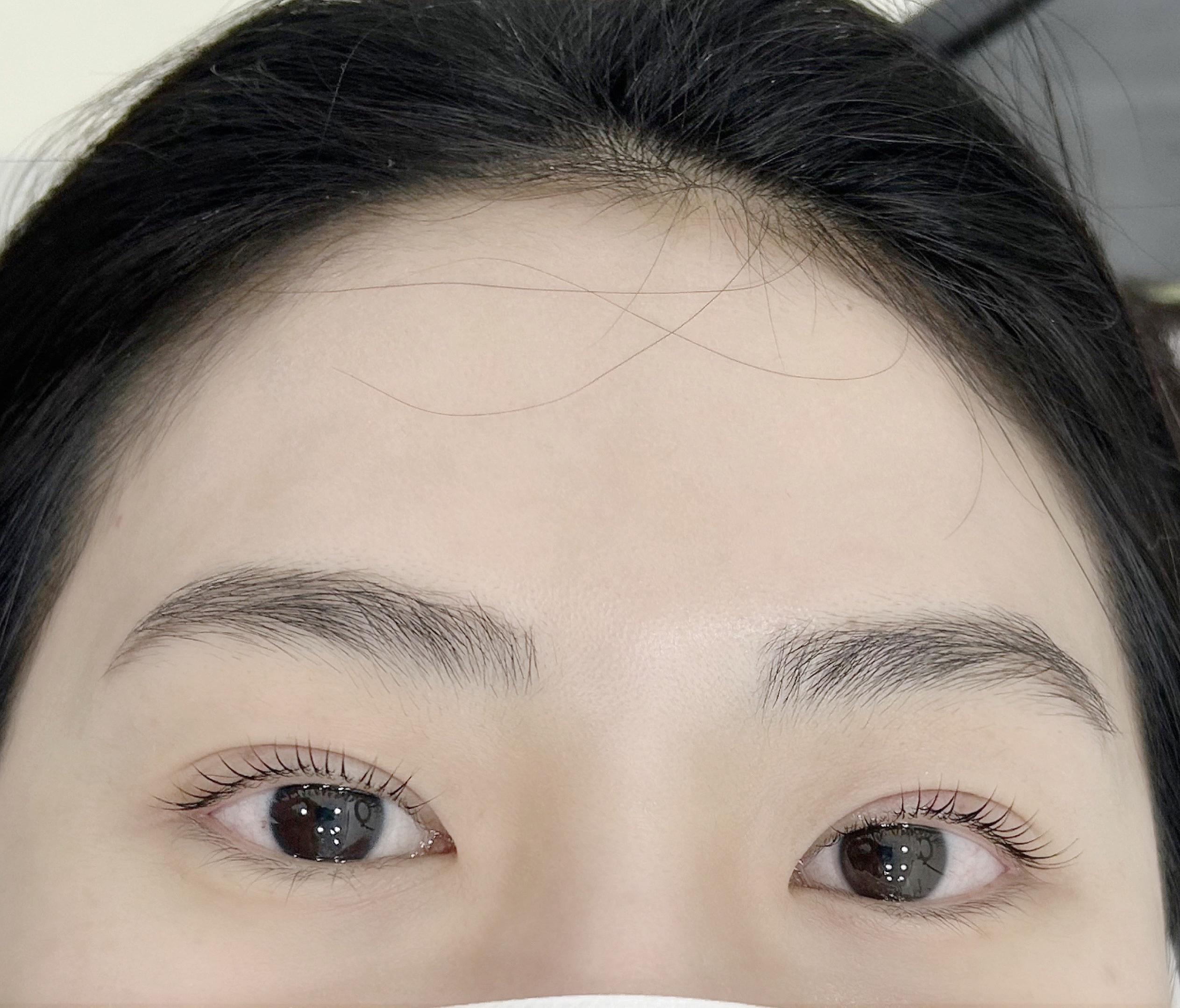 지음하다
