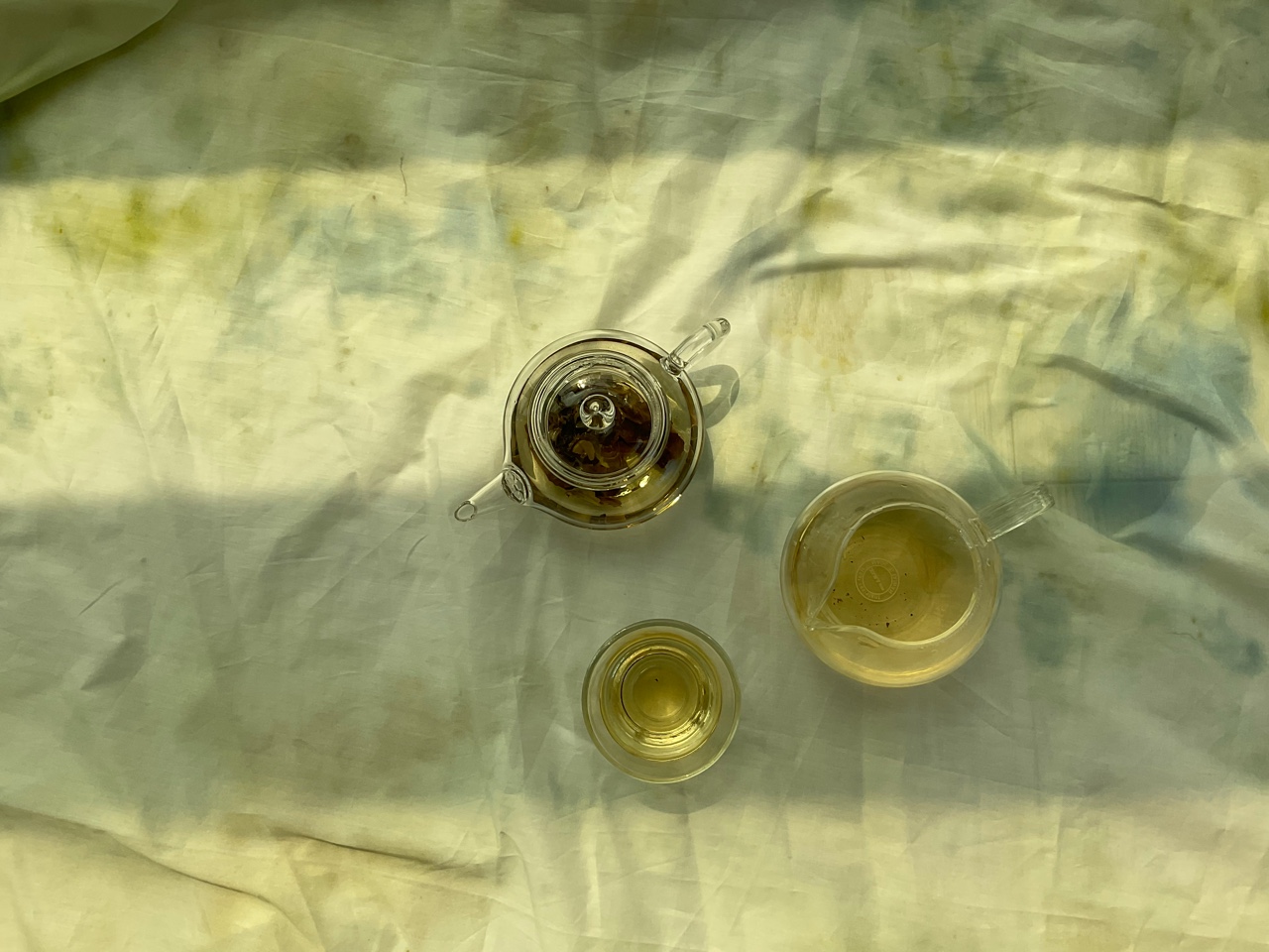 노루물요가 대표 이미지